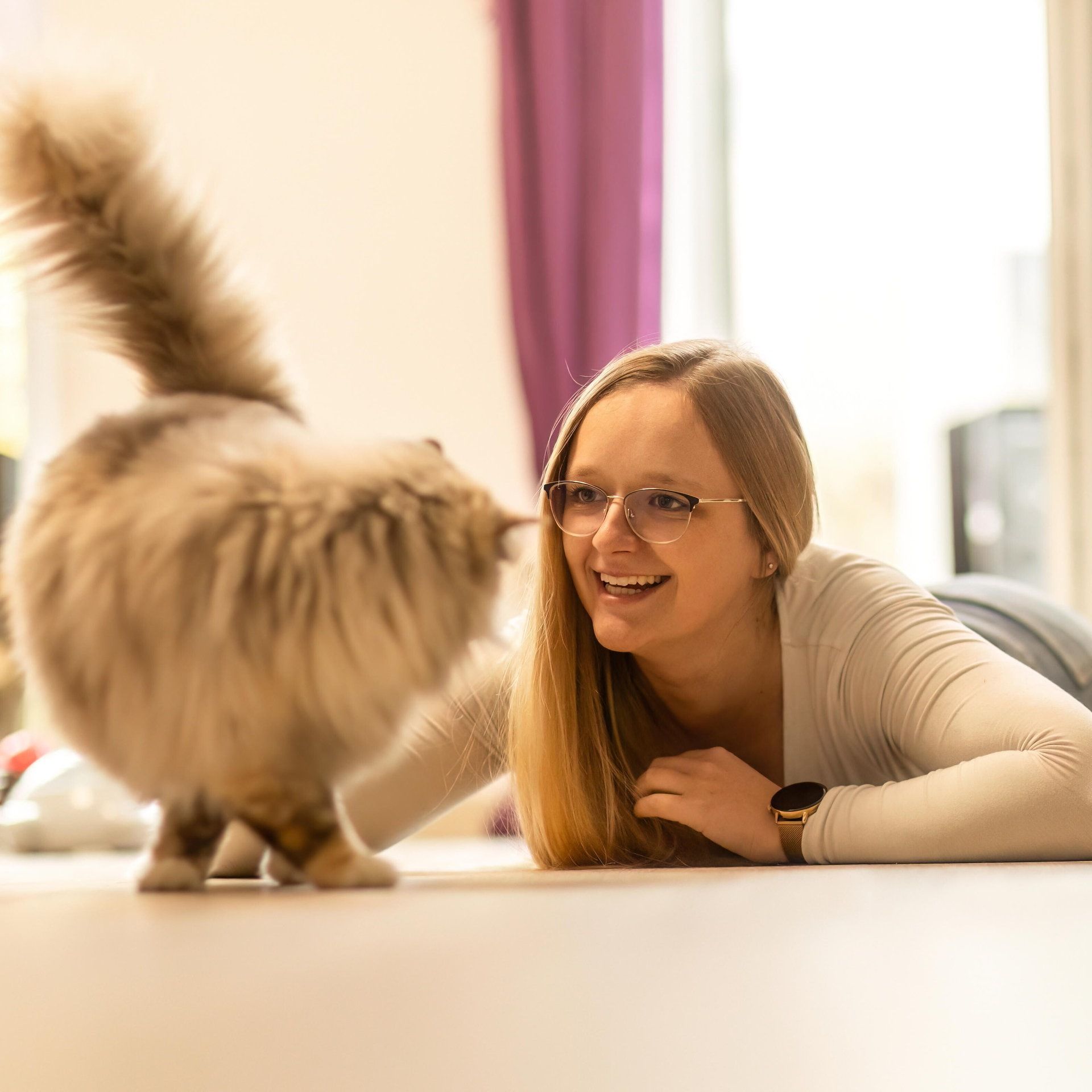 Studie: Das Schnurren verrät mehr über Katzen als das Miauen