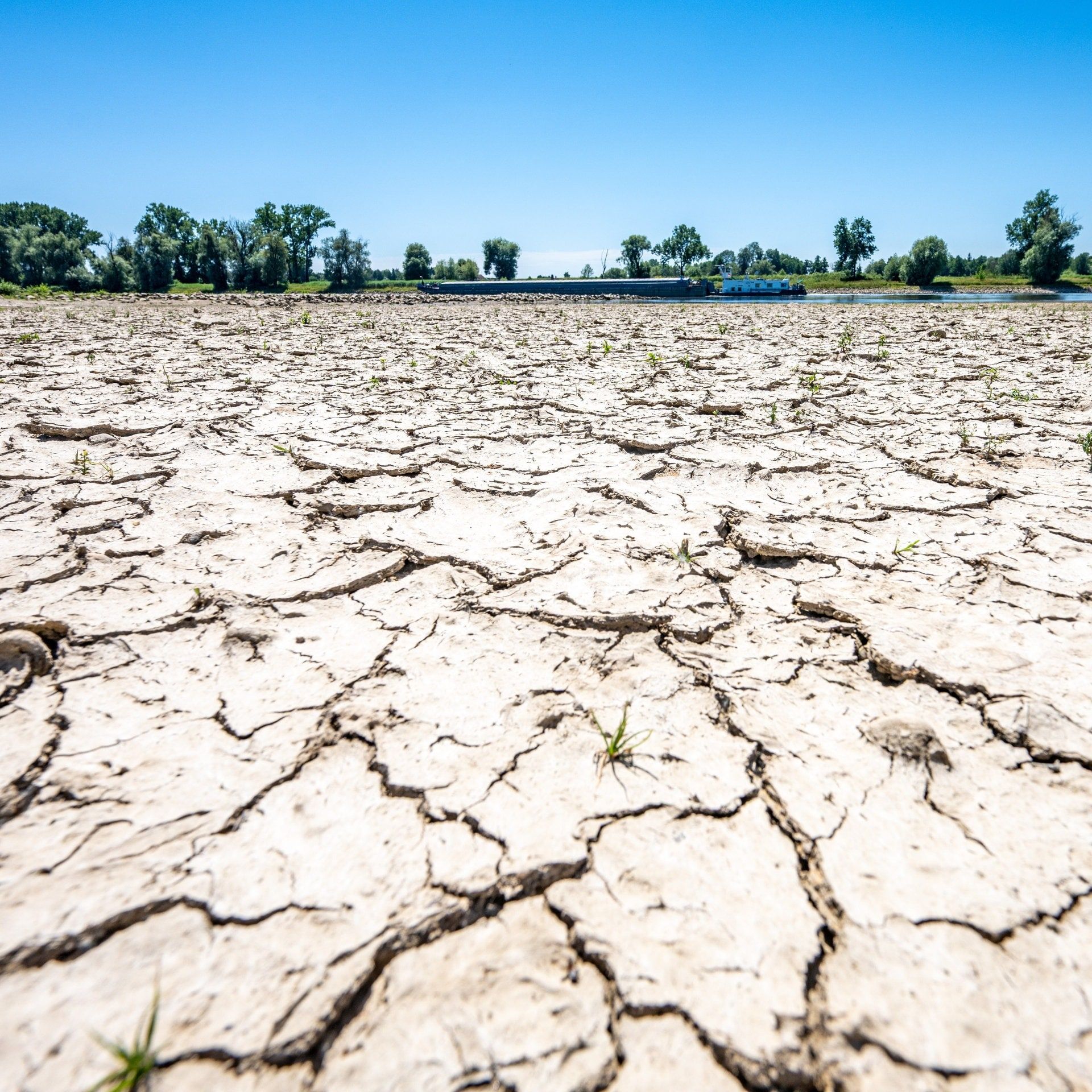 Studie zu Day Zero: Wenn das Wasser knapp wird