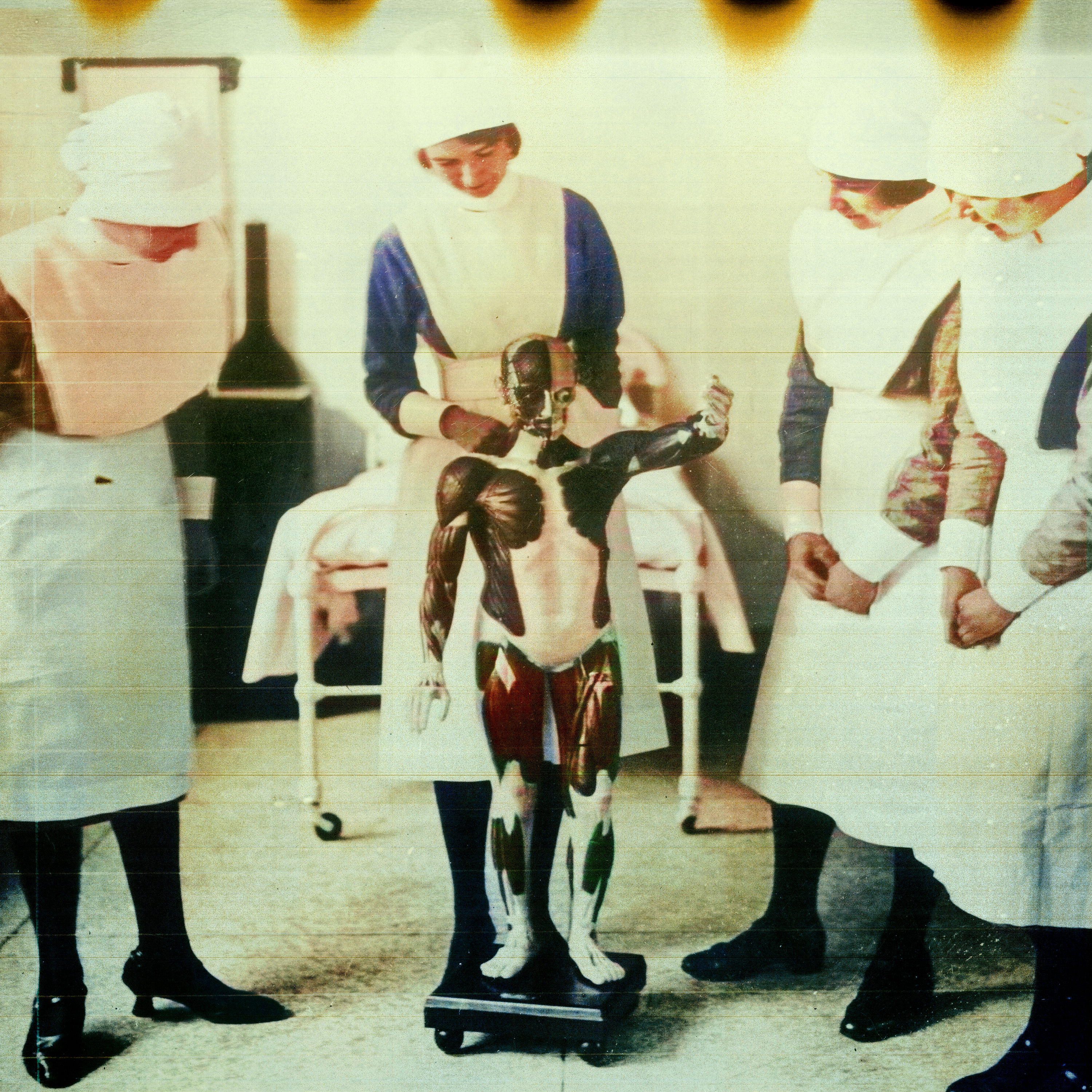 Studium und Zukunftspläne (10/41) | Unter dem Gras darüber