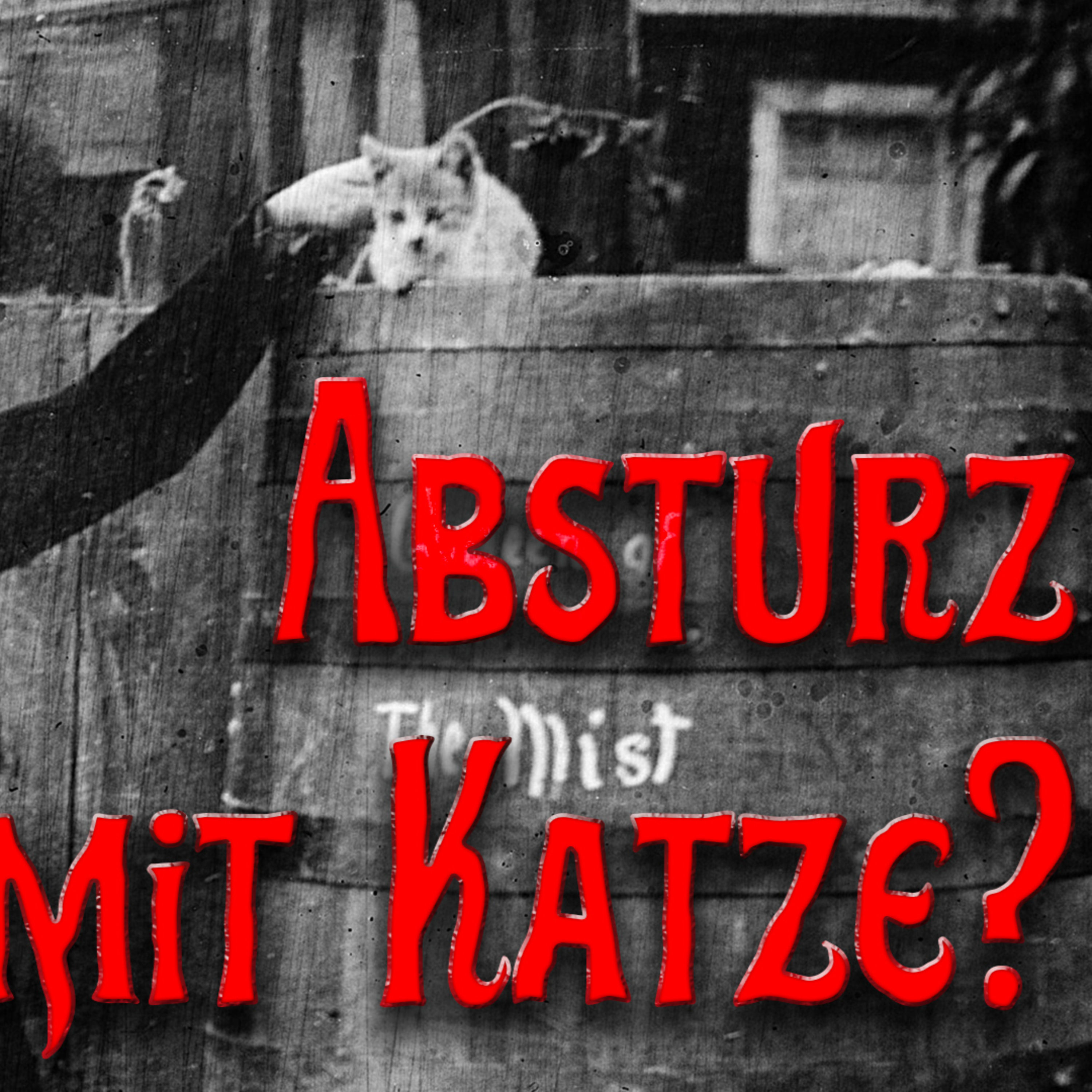 Sturz in die Niagarafälle - von Helden und Opfern