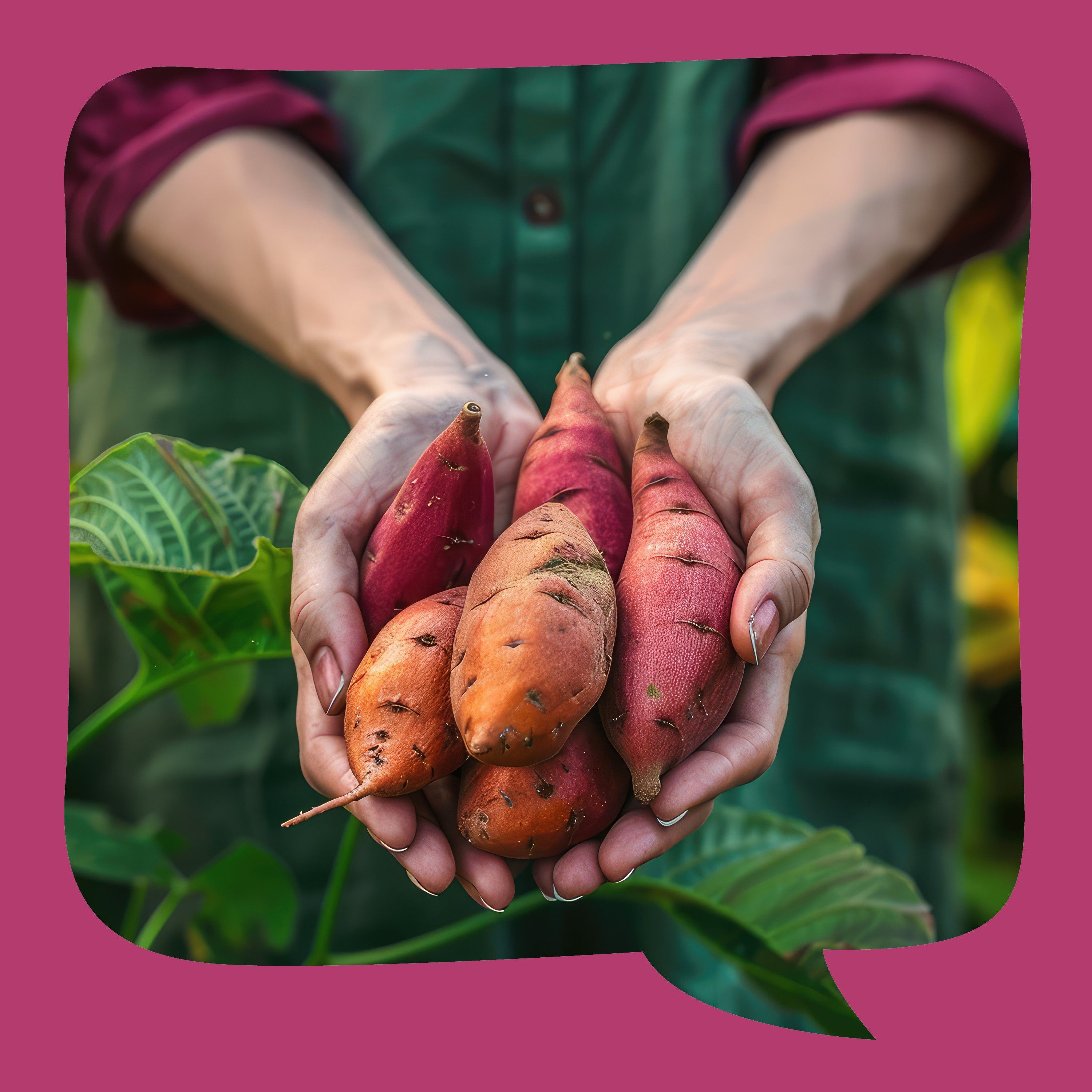 Susans Süßkartoffelsuppe | von und mit Gudrun Rathke