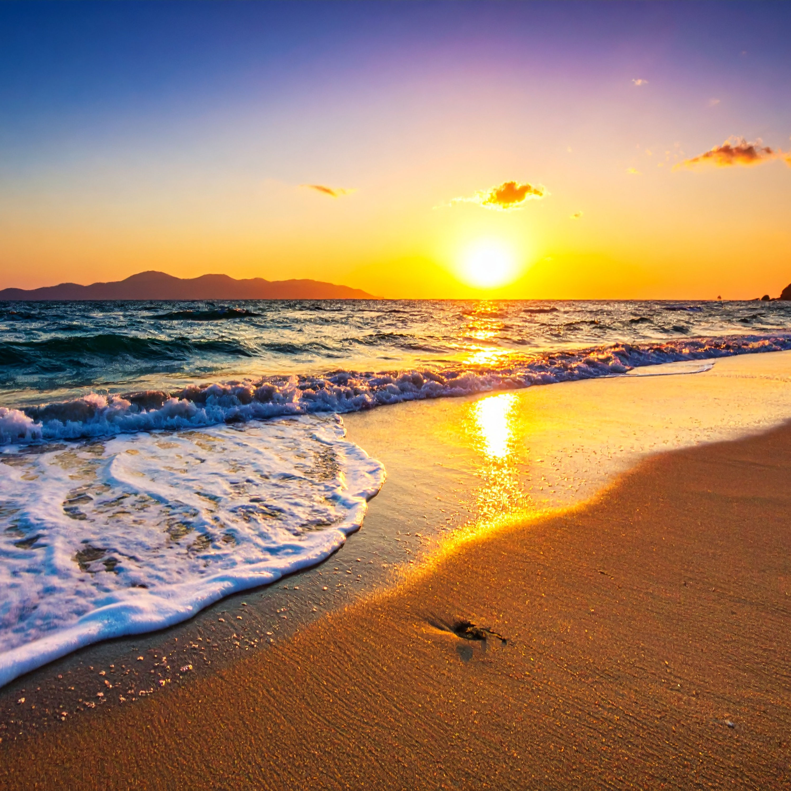 Sven sagt Dummheit im Internetzeitalter