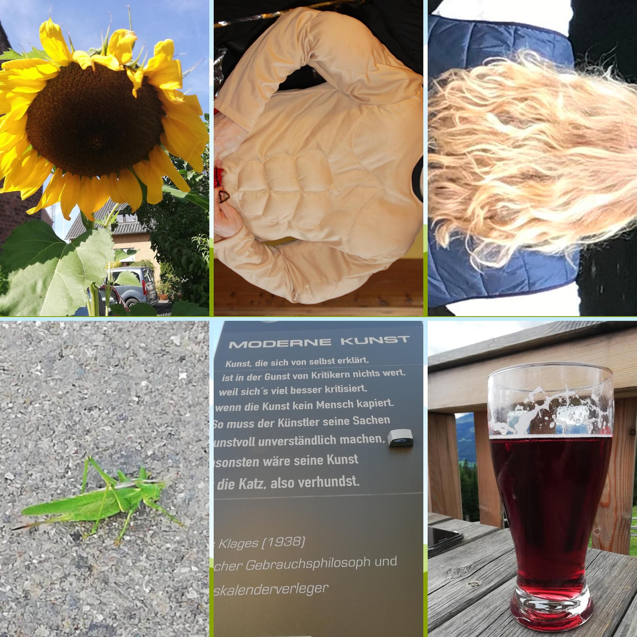 Tagesgedichte 01. - 07.08.2020