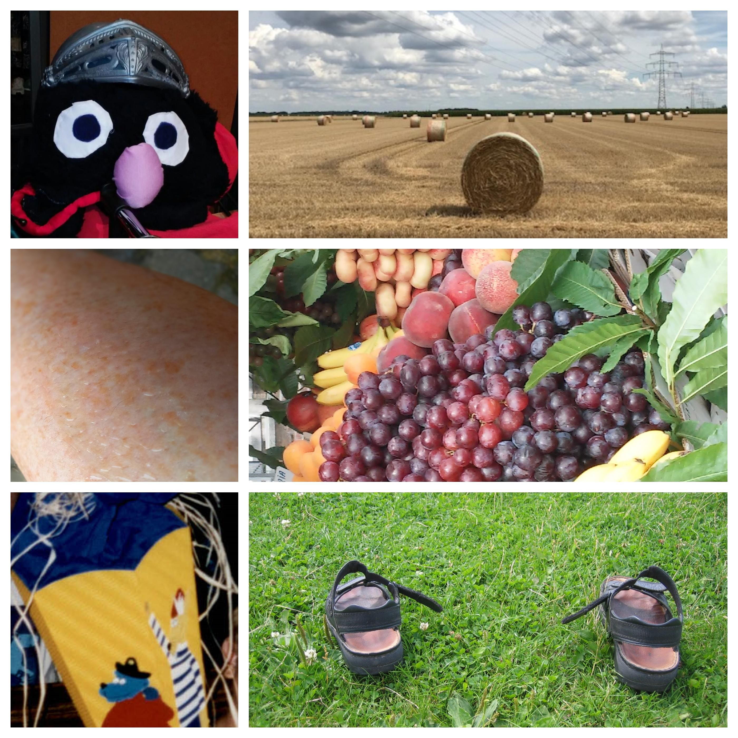 Tagesgedichte 08.08. bis 14.08.2020