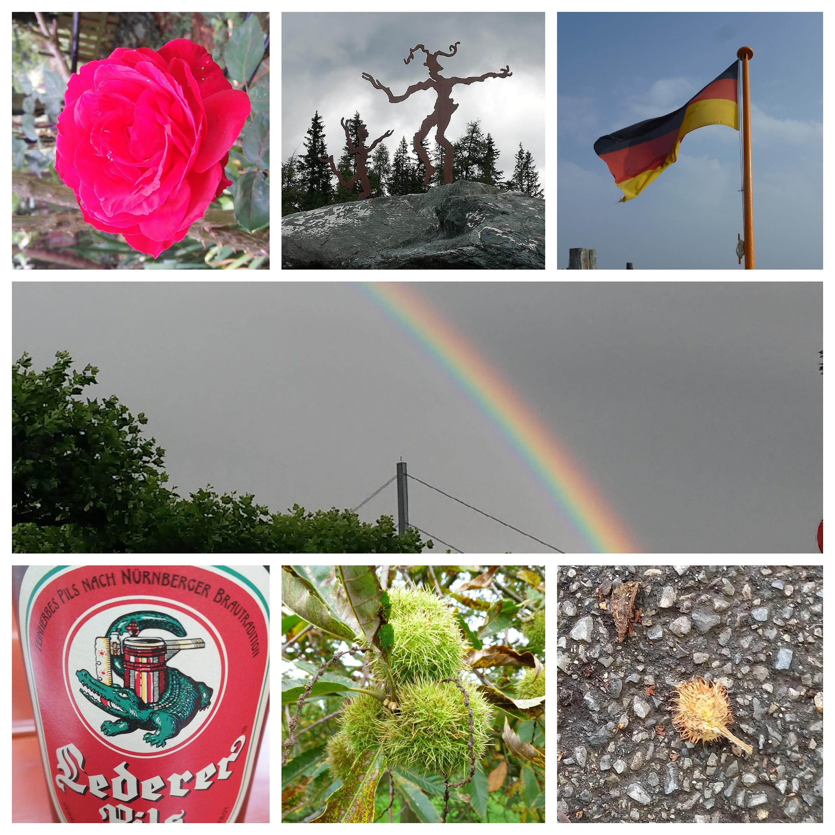 Tagesgedichte vom 03.10. bis 09.10.2020