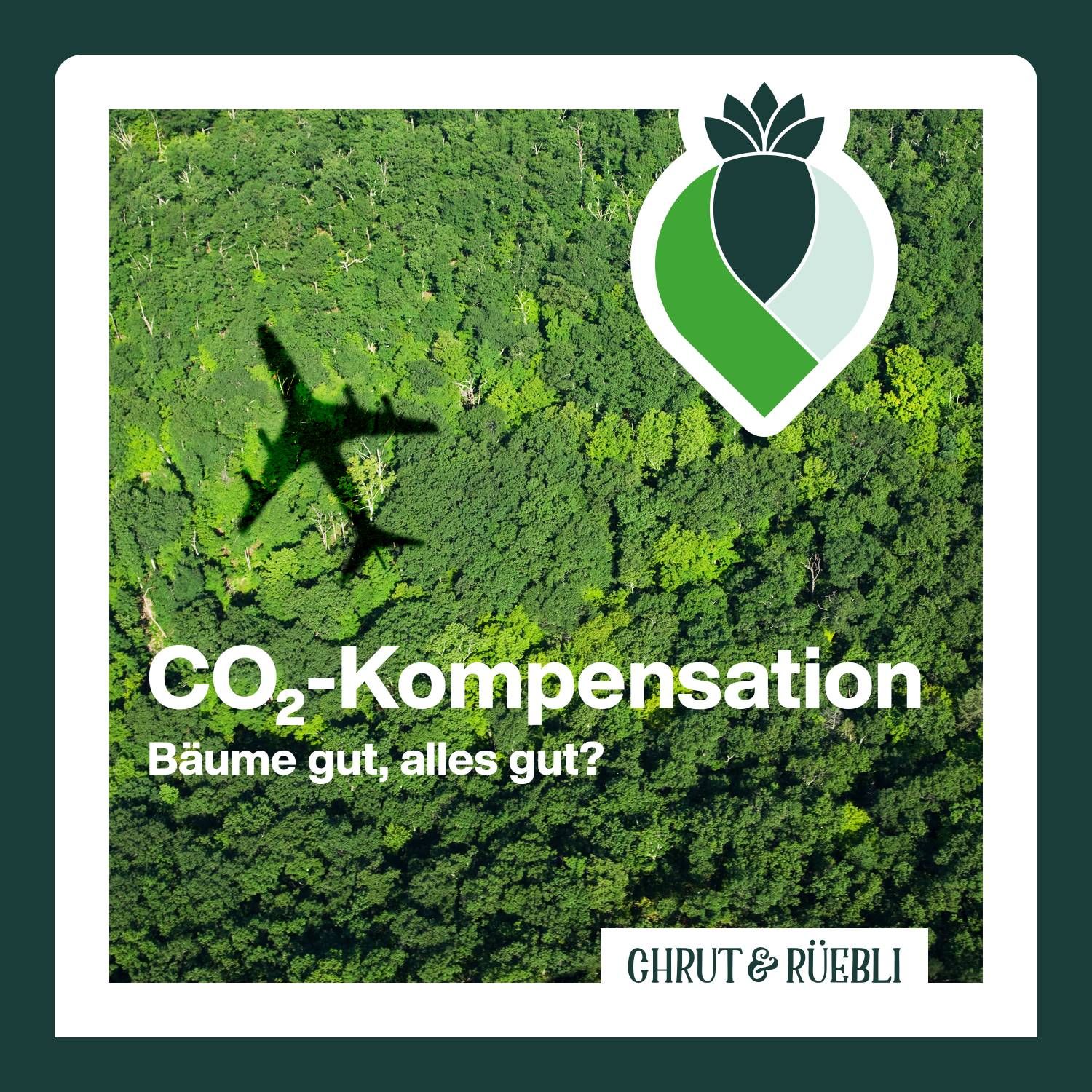 Talk «CO2-Kompensation – Bäume gut, alles gut?»