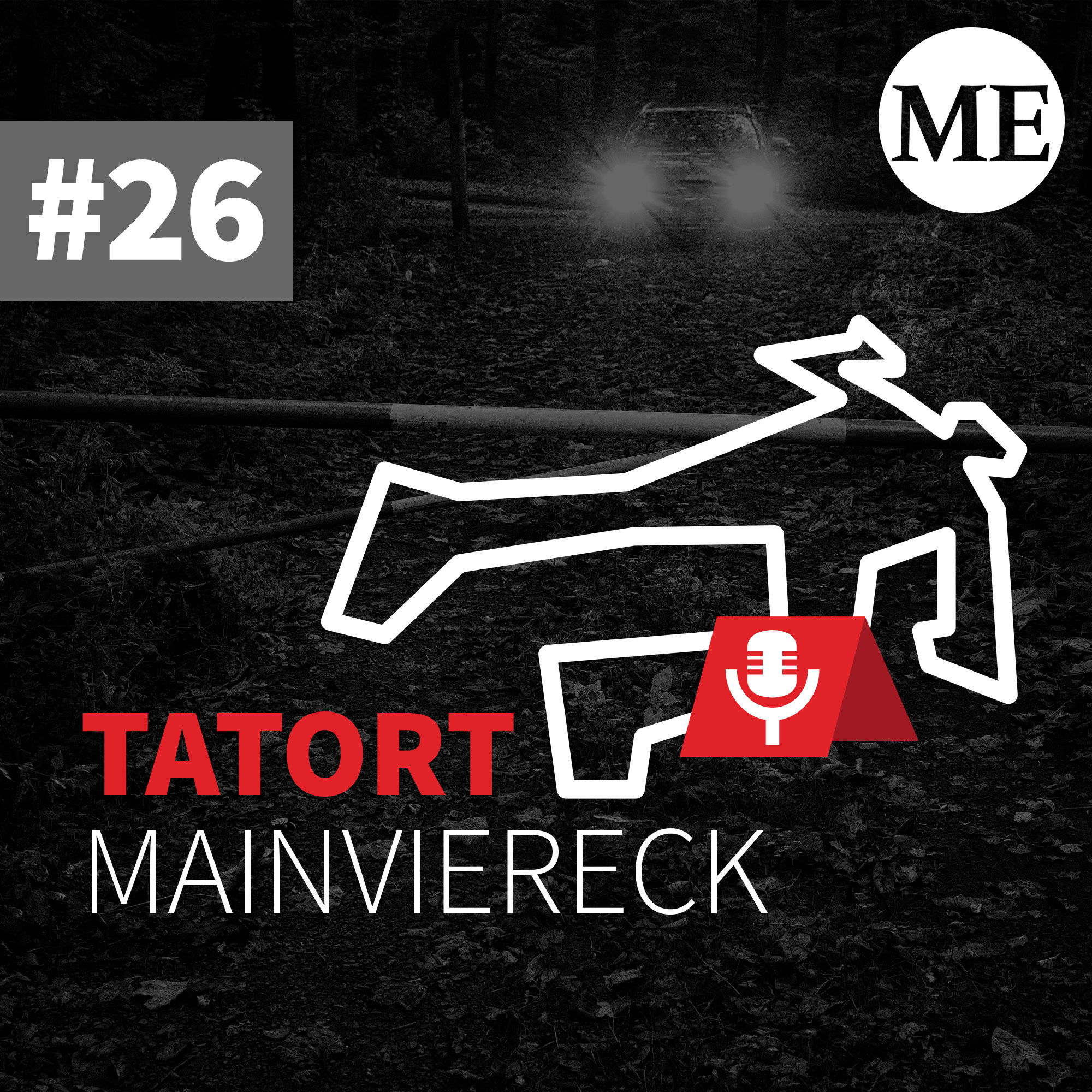 Tatort Hasenkopf - ein versuchter Mord in Aschaffenburg wird nach 30 Jahren aufgeklärt