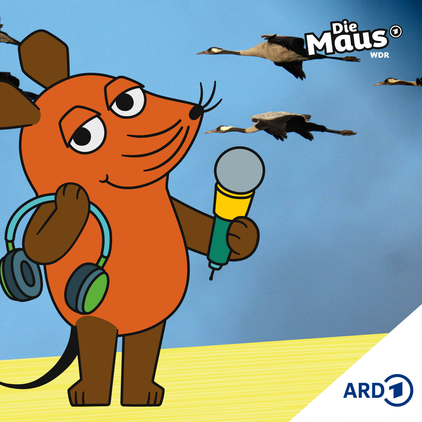 Tausende Kraniche am Himmel unterwegs