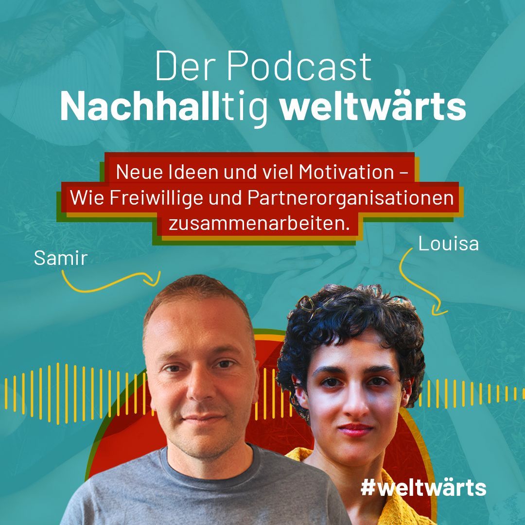 Teamwork! Freiwillige und Partnerorganisationen