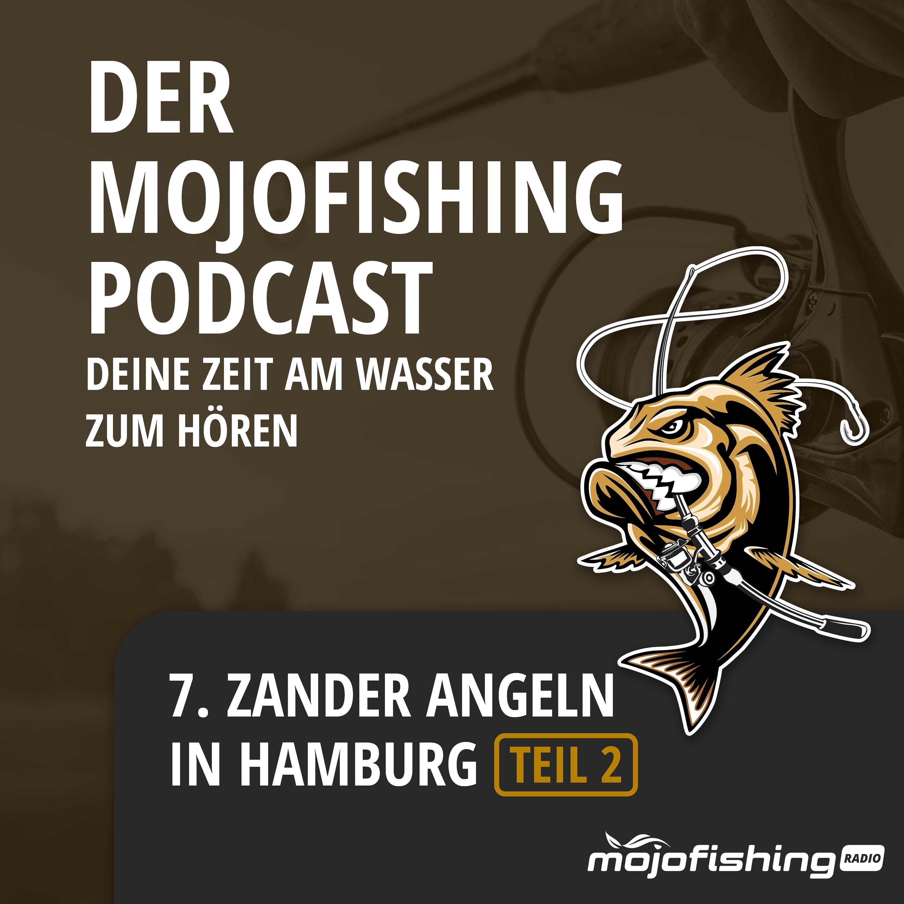 Teil 2: Zander Angeln in Hamburg