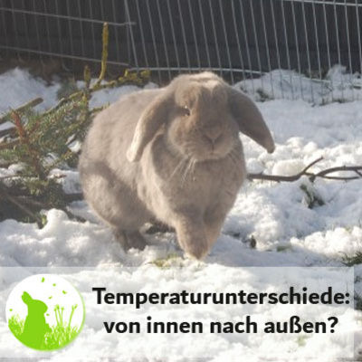 Temperaturunterschiede: von innen nach außen umgewöhnen