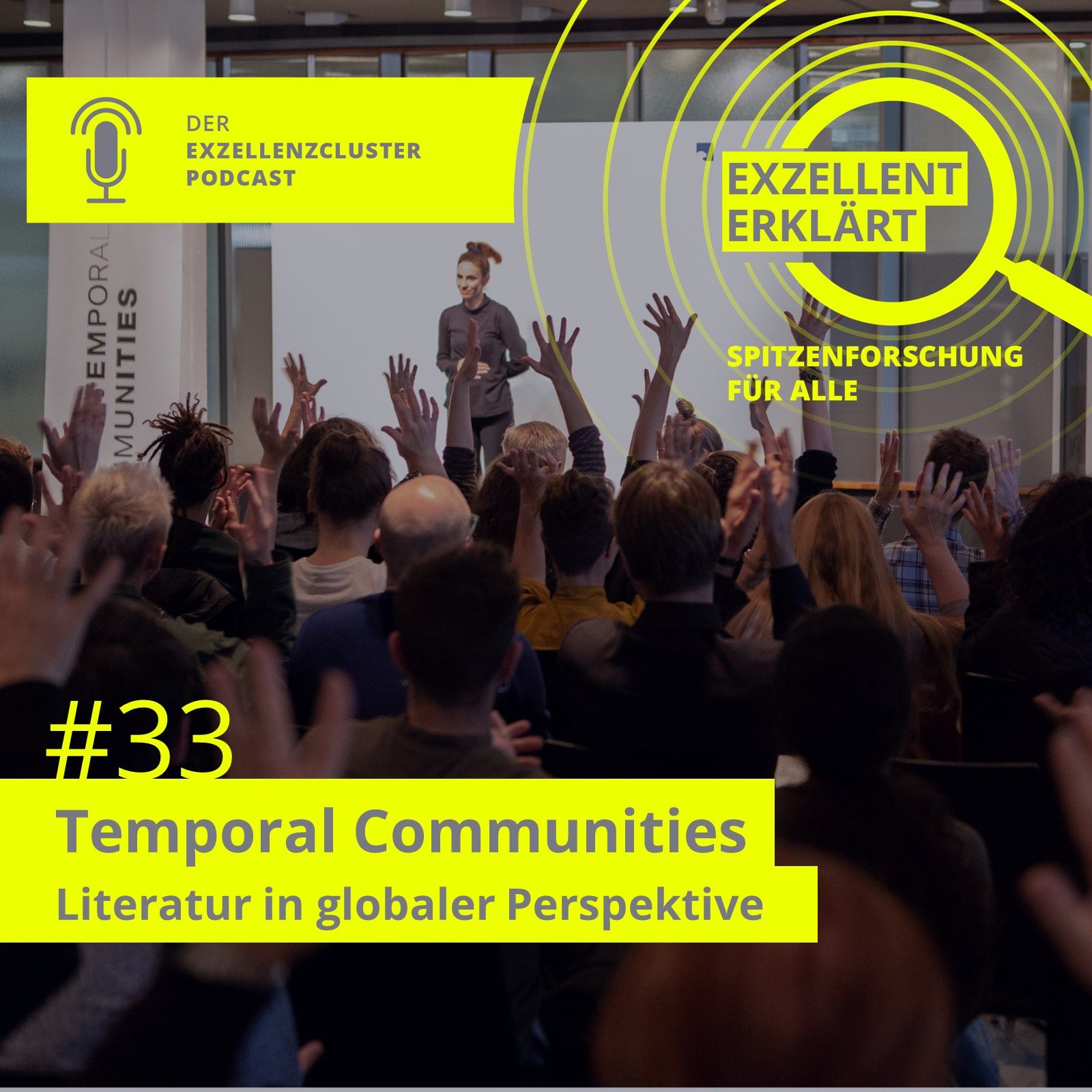 Temporal Communities - Literatur in globaler Perspektive