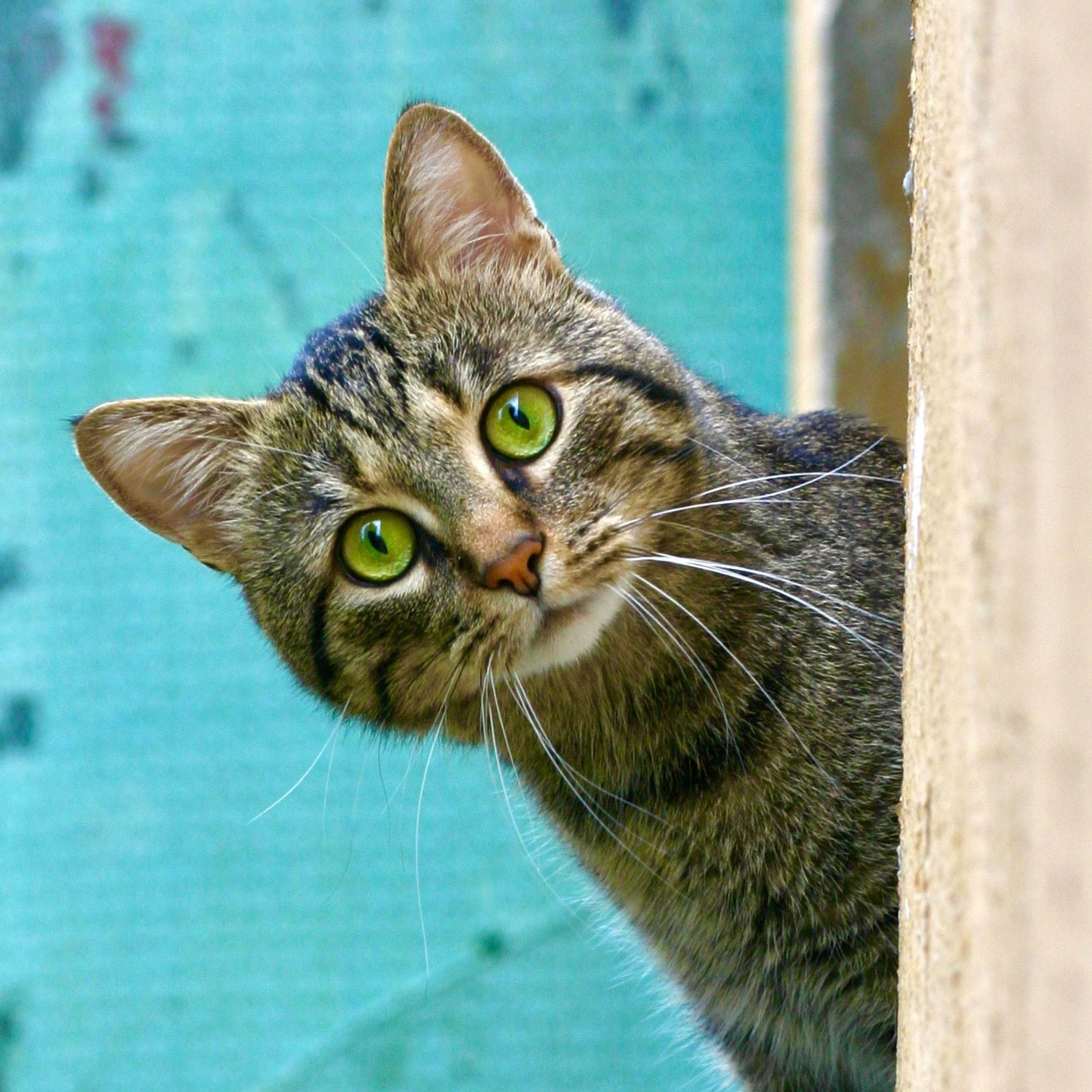 `Tennisplausch 30 Soft` ist da!