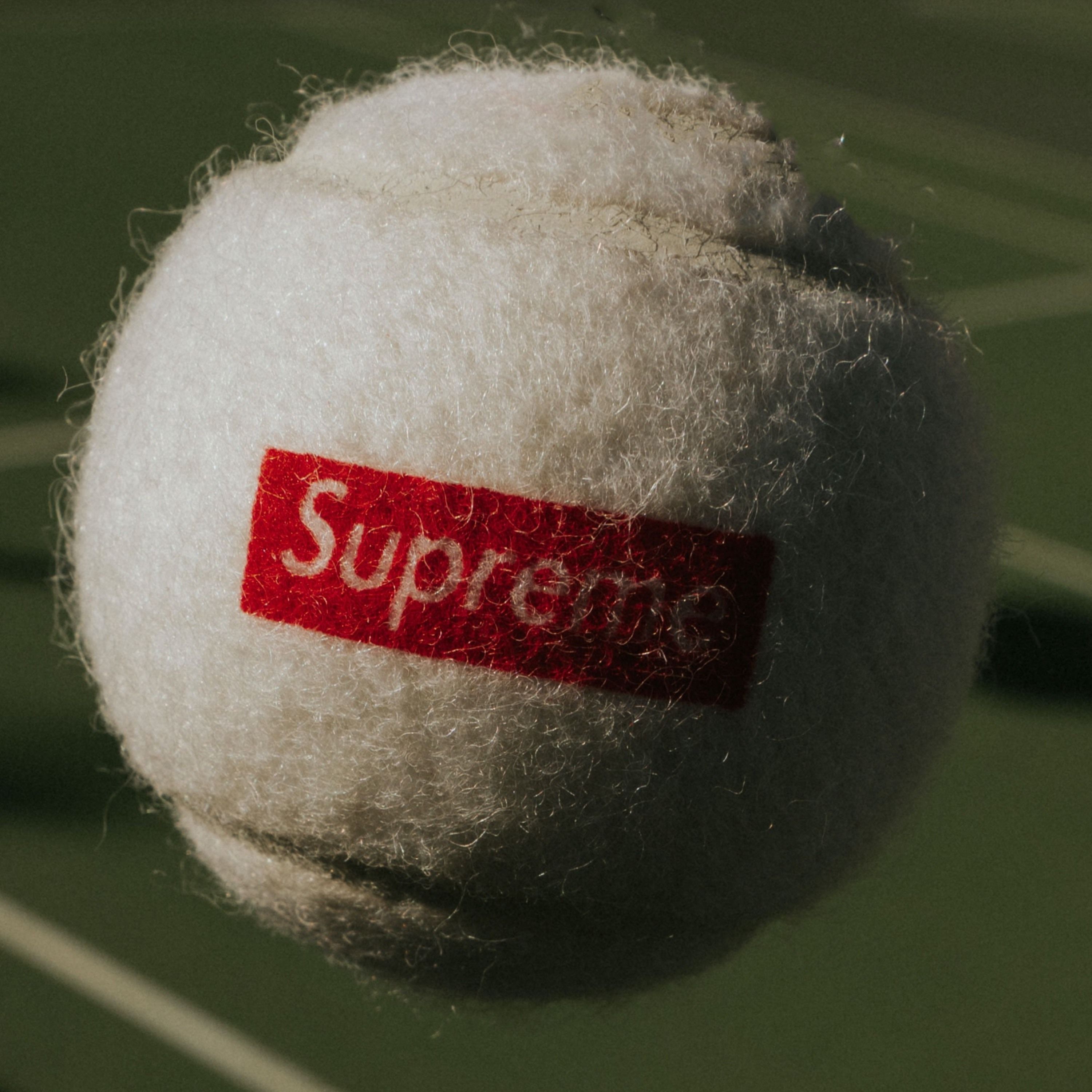 Tennisspieler = Egozentriker