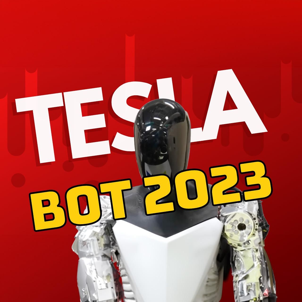 Tesla Bot 2023: Revolution, Risiken und Realität