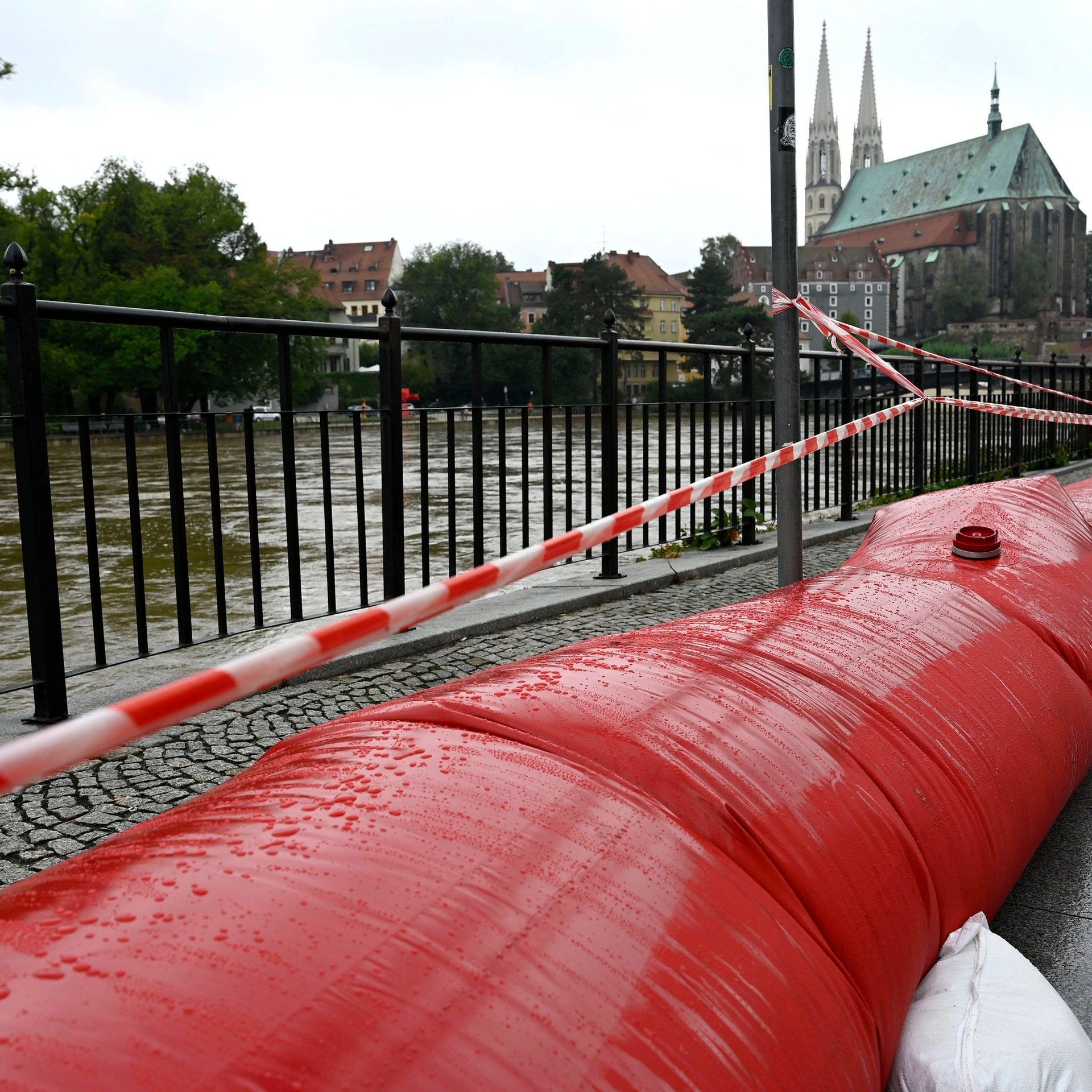 Teurer Rückzug: Was kostet es, wenn wir beim Klimaschutz den Rückwärtsgang einlegen?