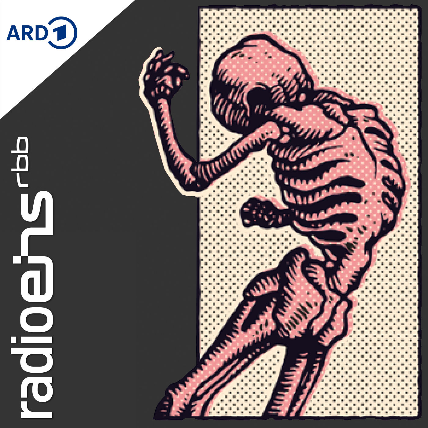 The End - der radioeins-Podcast auf Leben und Tod