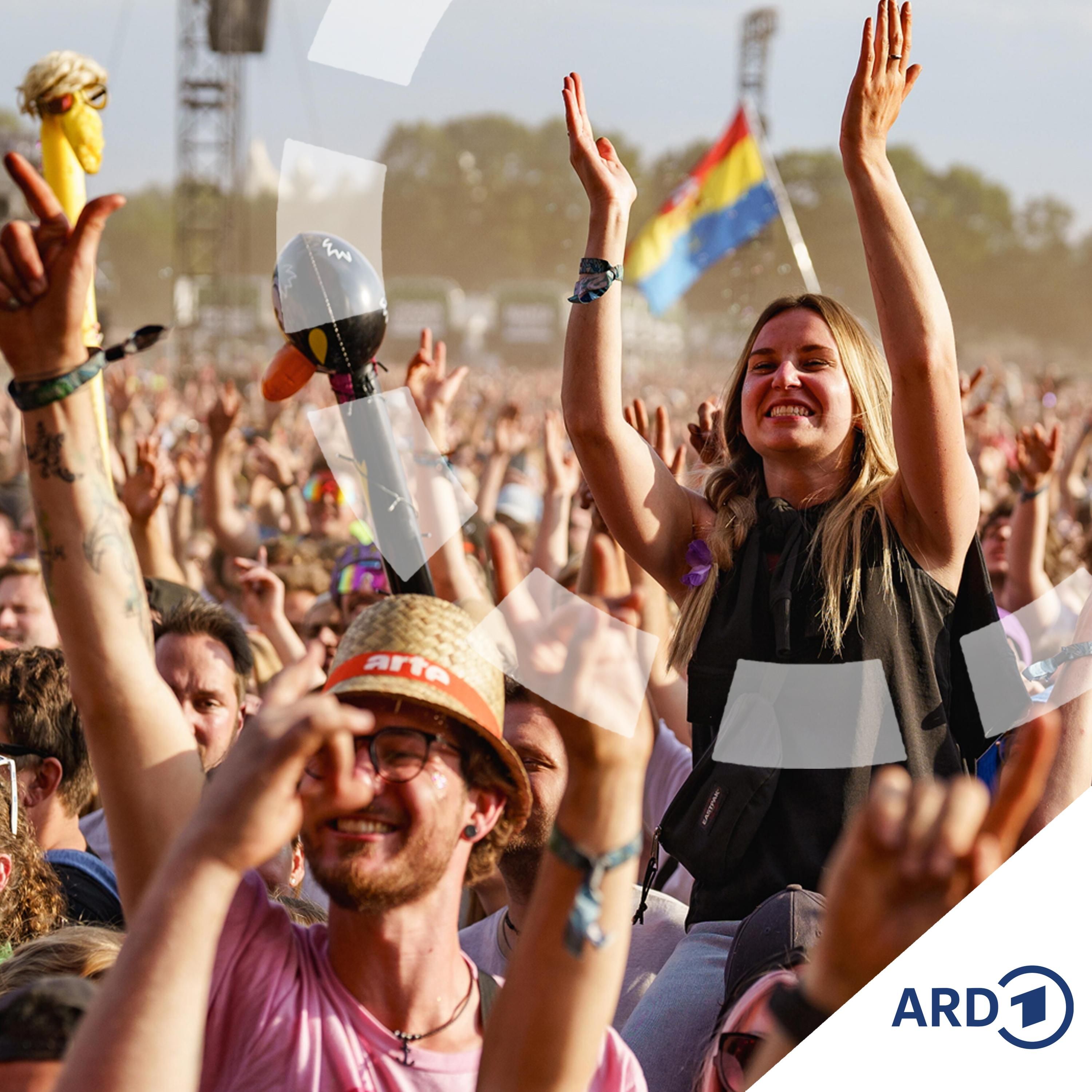 The Show must go on: Haben Festivals eine Zukunft?