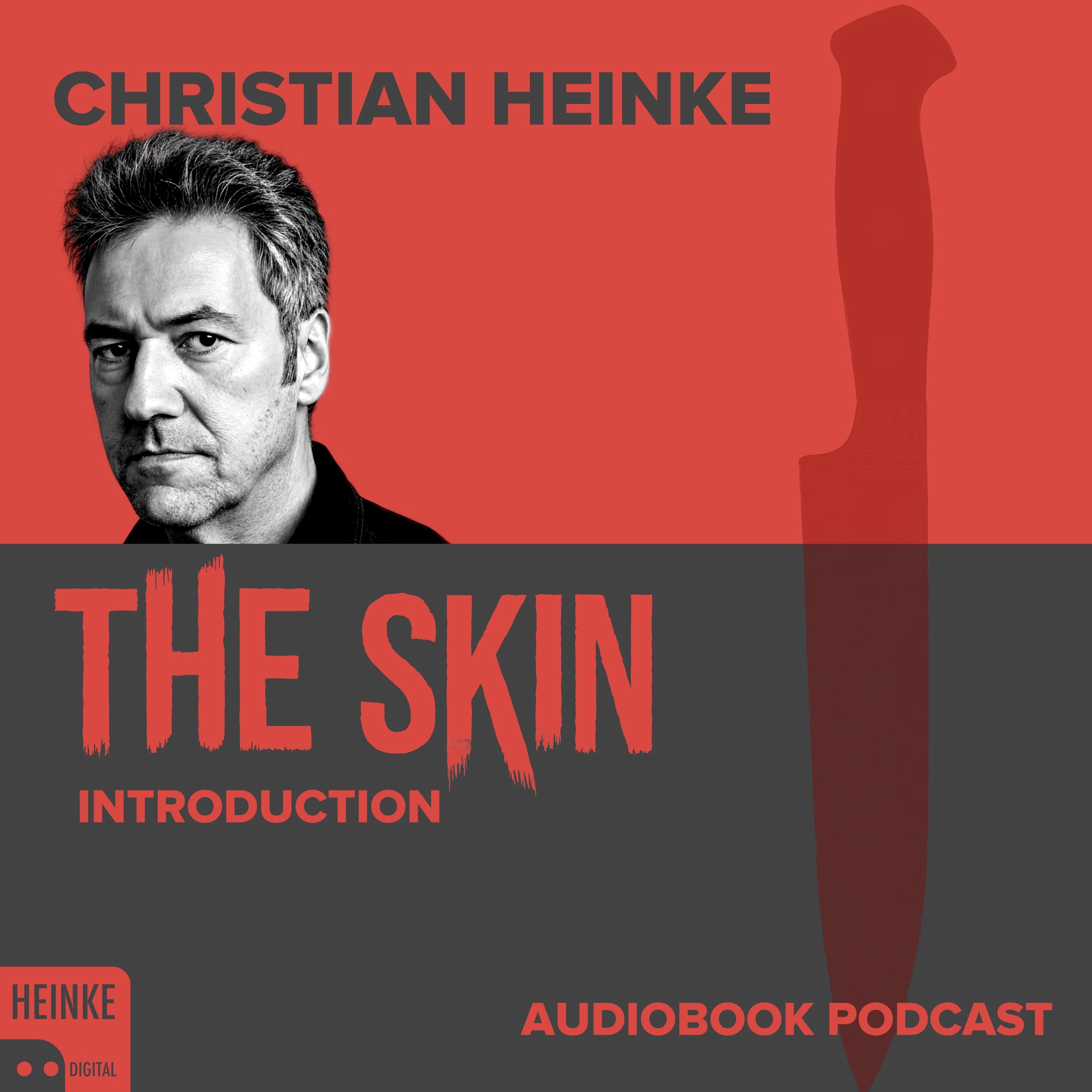The Skin - Introduction