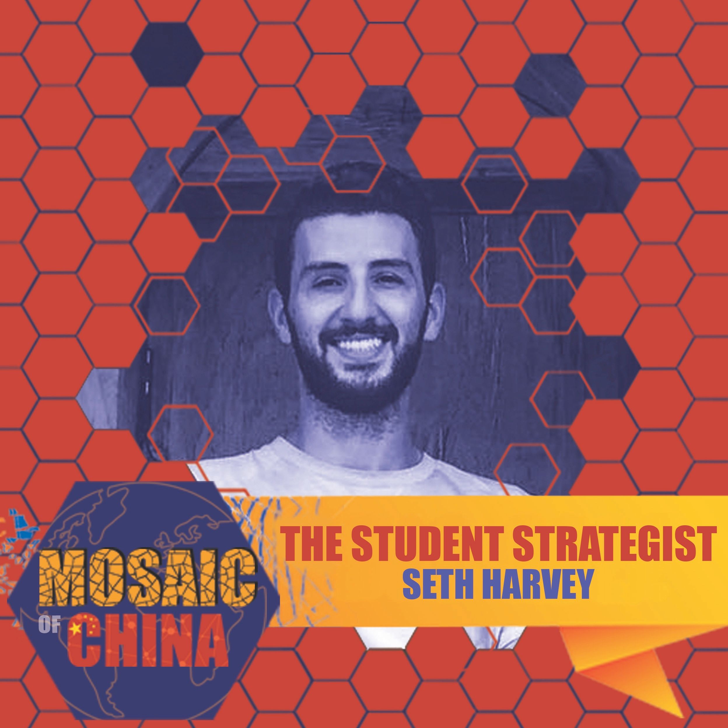 The Student Strategist (Seth HARVEY, Education Coach)