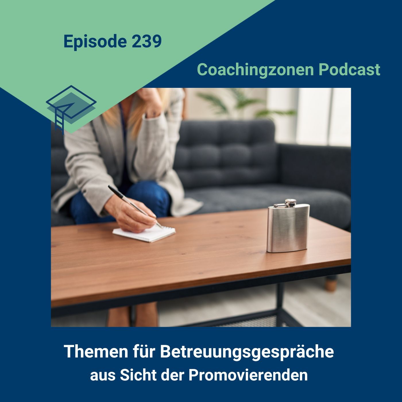 Themen für Betreuungsgespräche aus Sicht der Promovierenden (239)