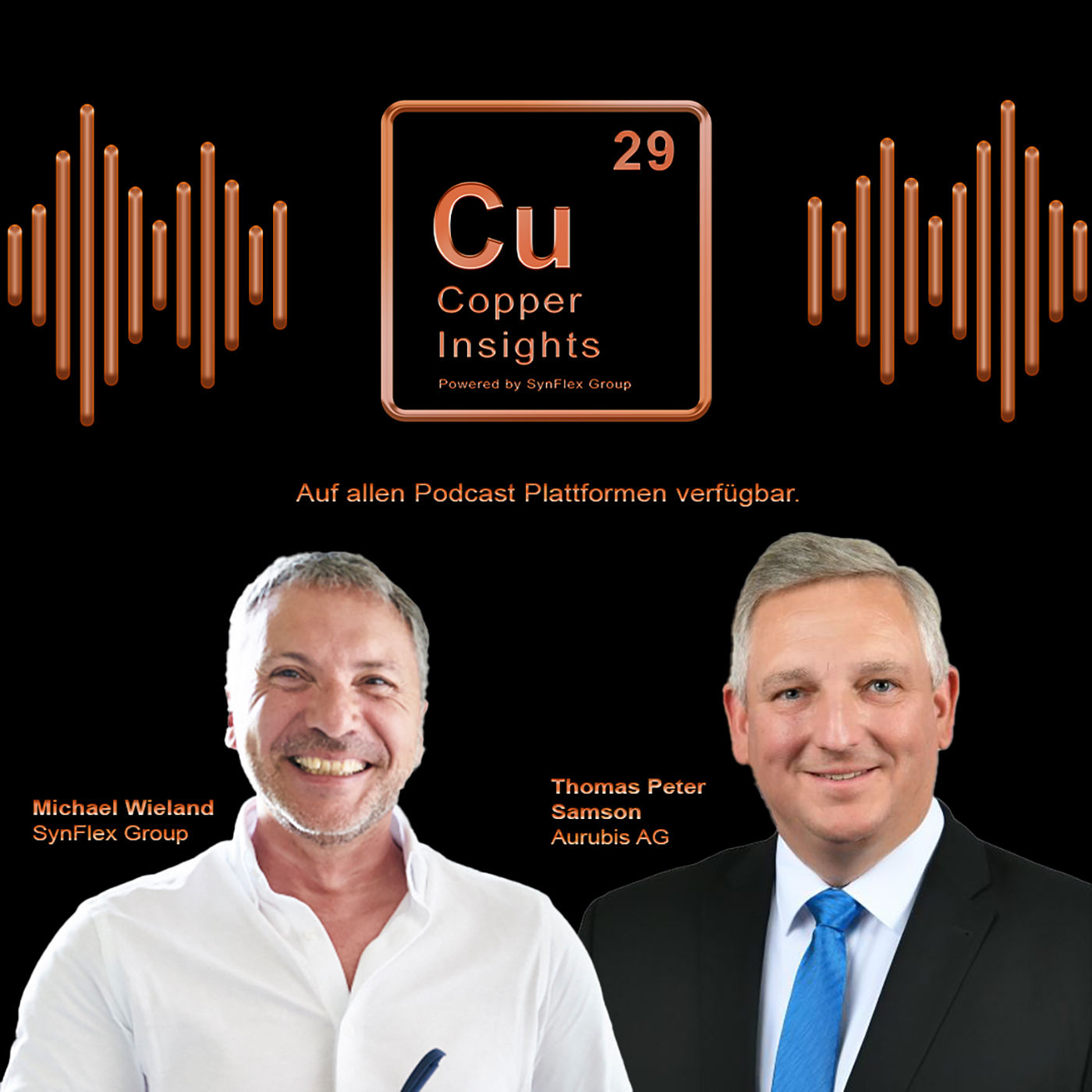 Thomas Peter Samson - Head of Sales Aurubis AG
