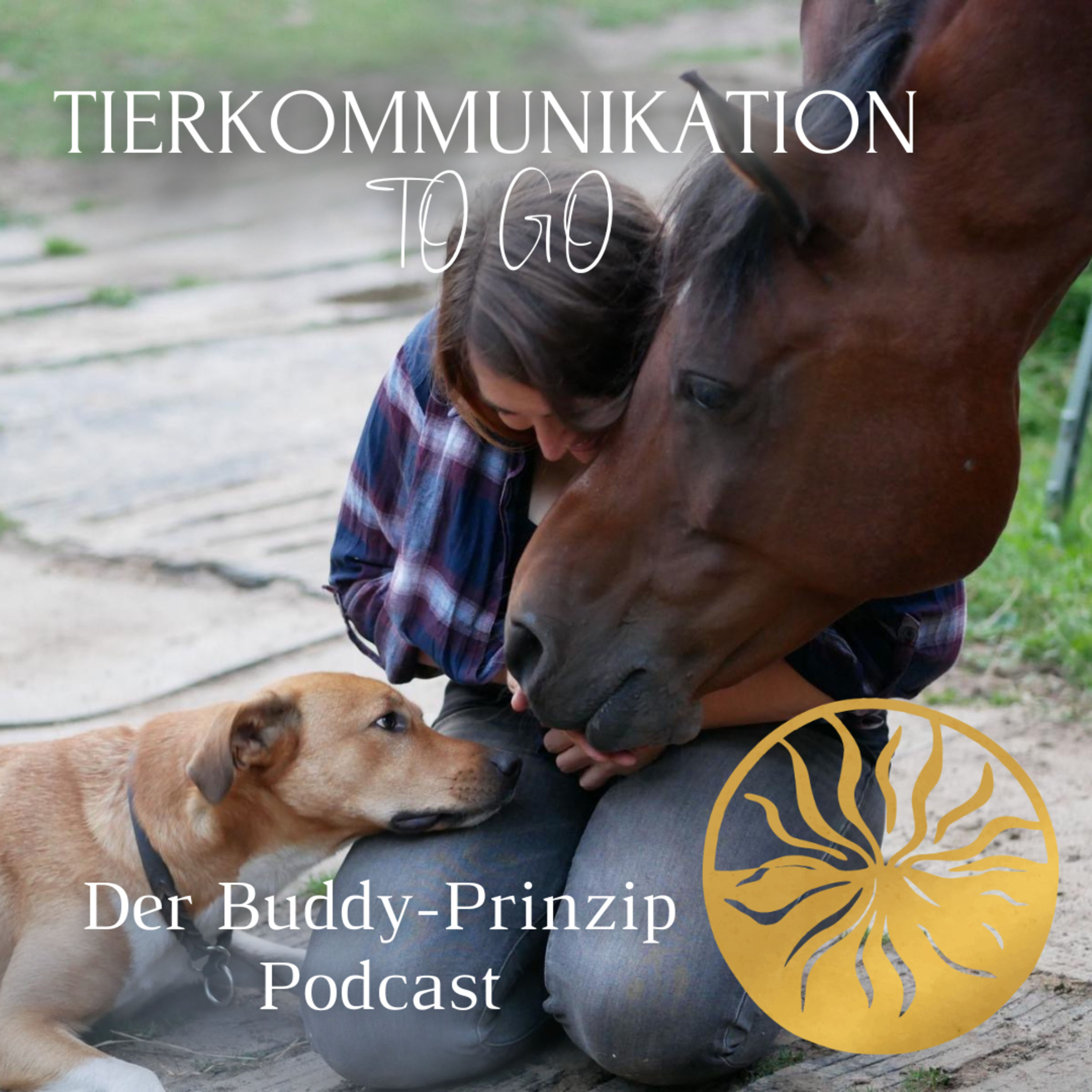 Tierbotschaft von Ponystute Snoopy