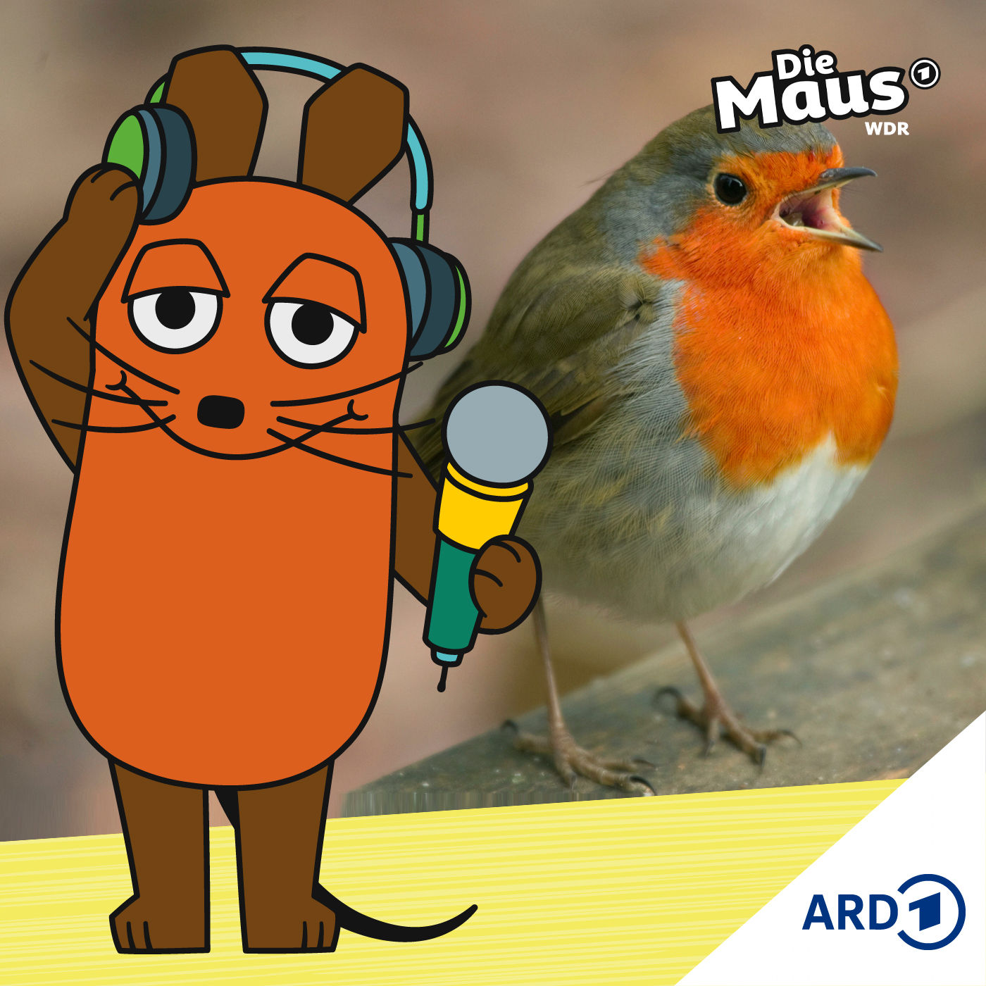 Tiere gehen in der Stadt anders miteinander um