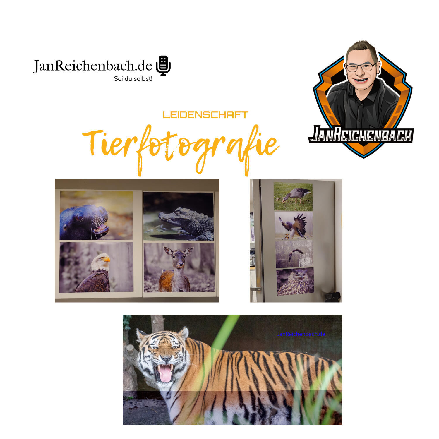 Tierfotografie - meine Leidenschaft