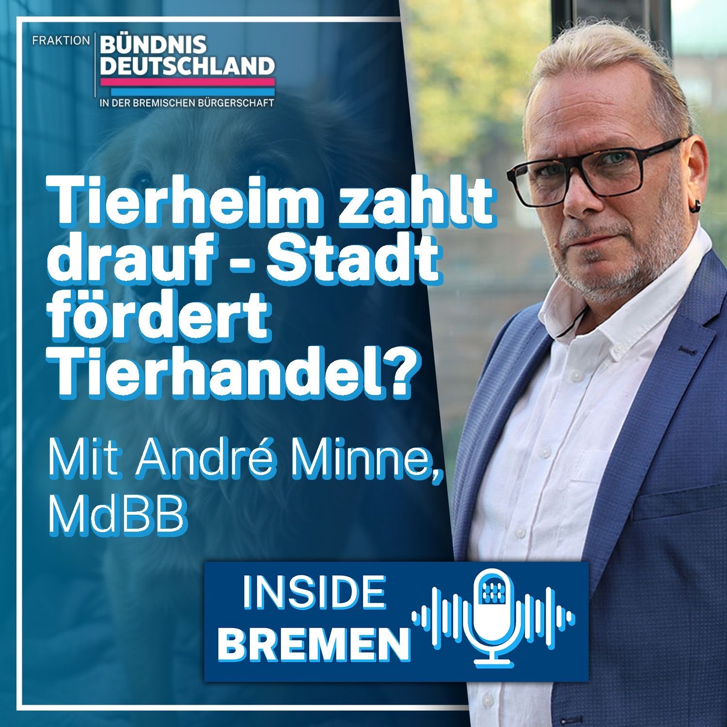 Tierheim zahlt drauf – Stadt fördert Tierhandel?