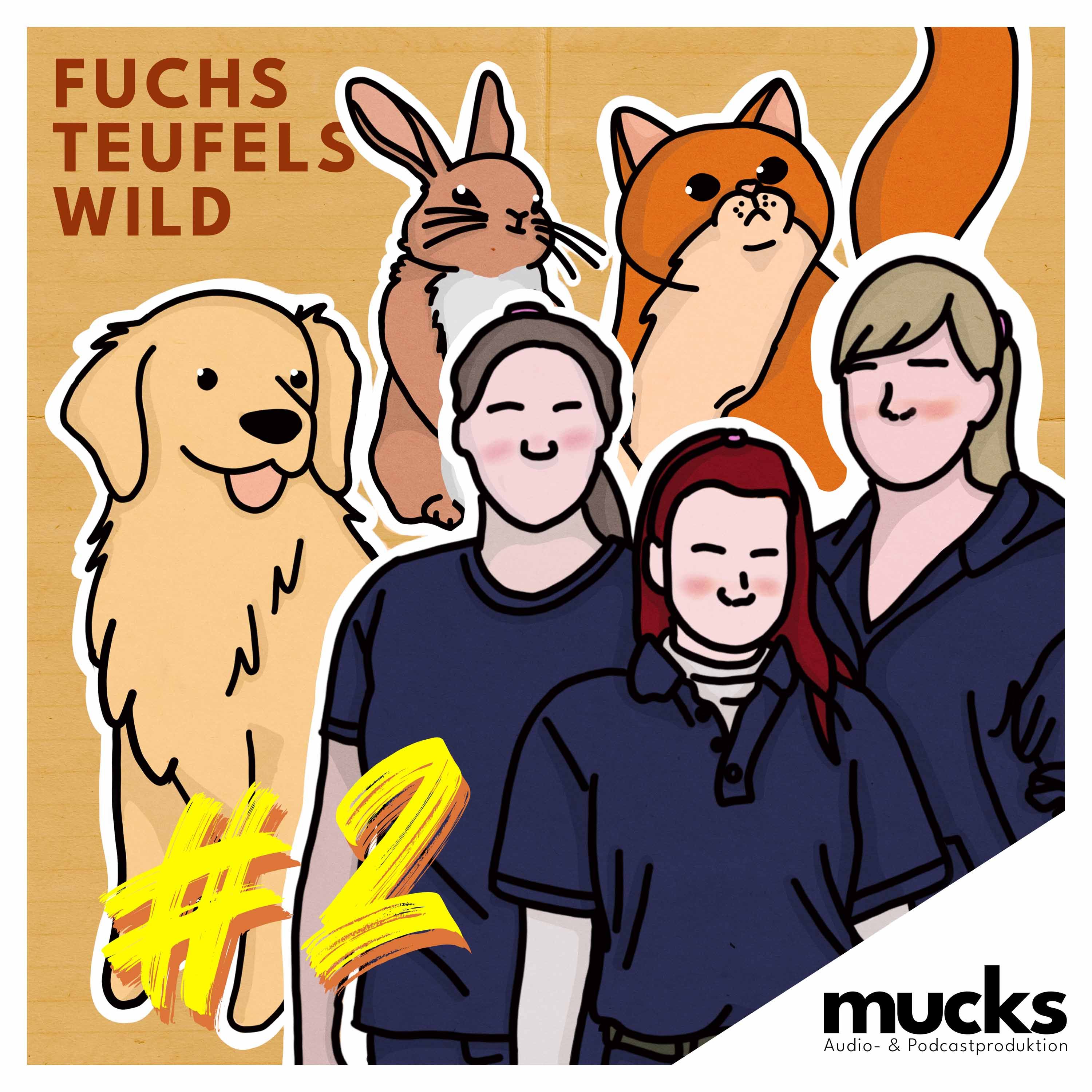 Tierheime - Ein Zuhause auf Zeit