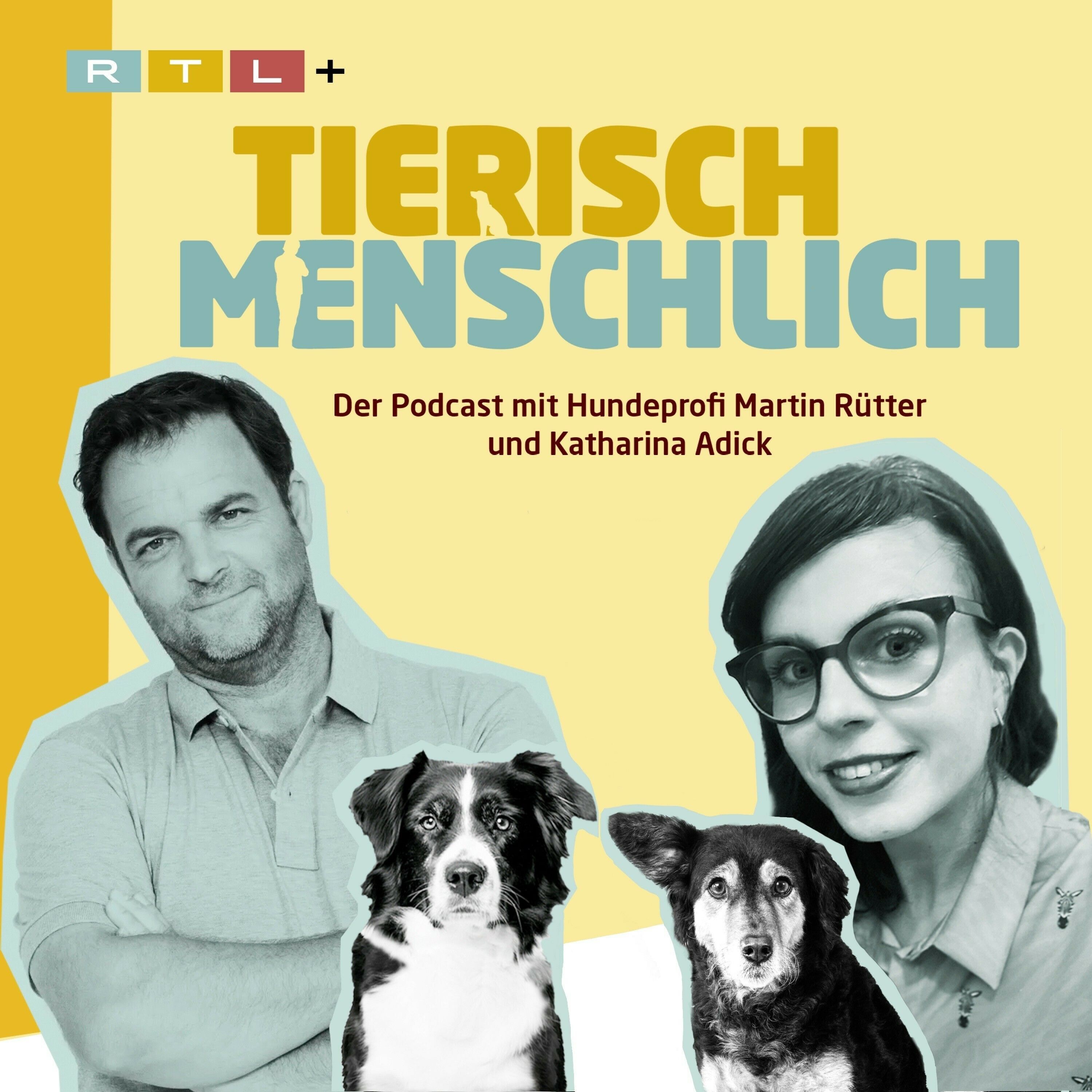 Tierisch menschlich mit Hundeprofi Martin Rütter & Katharina Adick, Podcast online hören