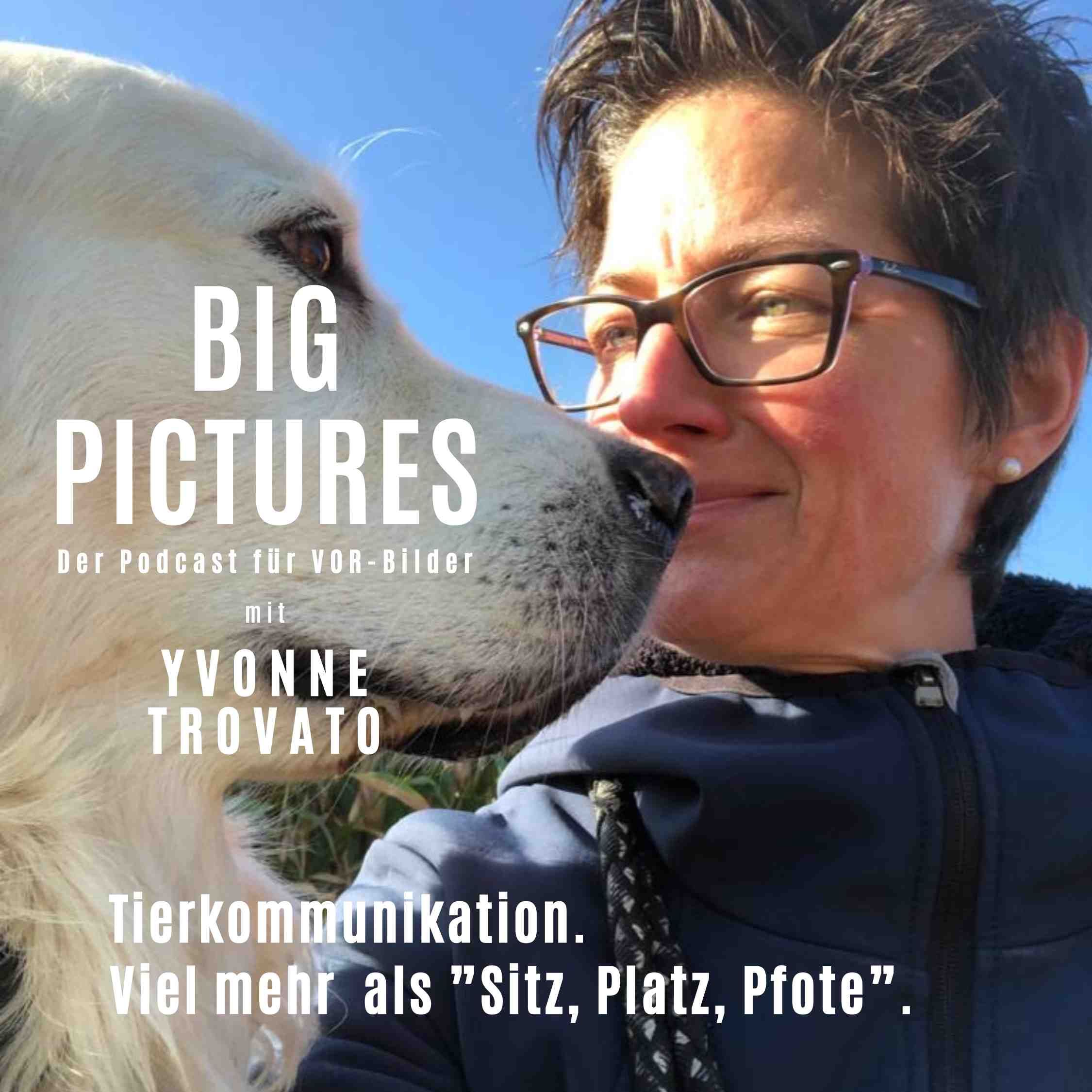 Tierkommunikation mit Yvonne Trovato