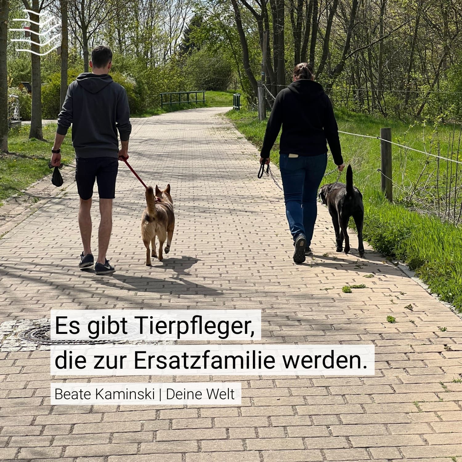 Tierschutz – Im größten Tierheim Europas