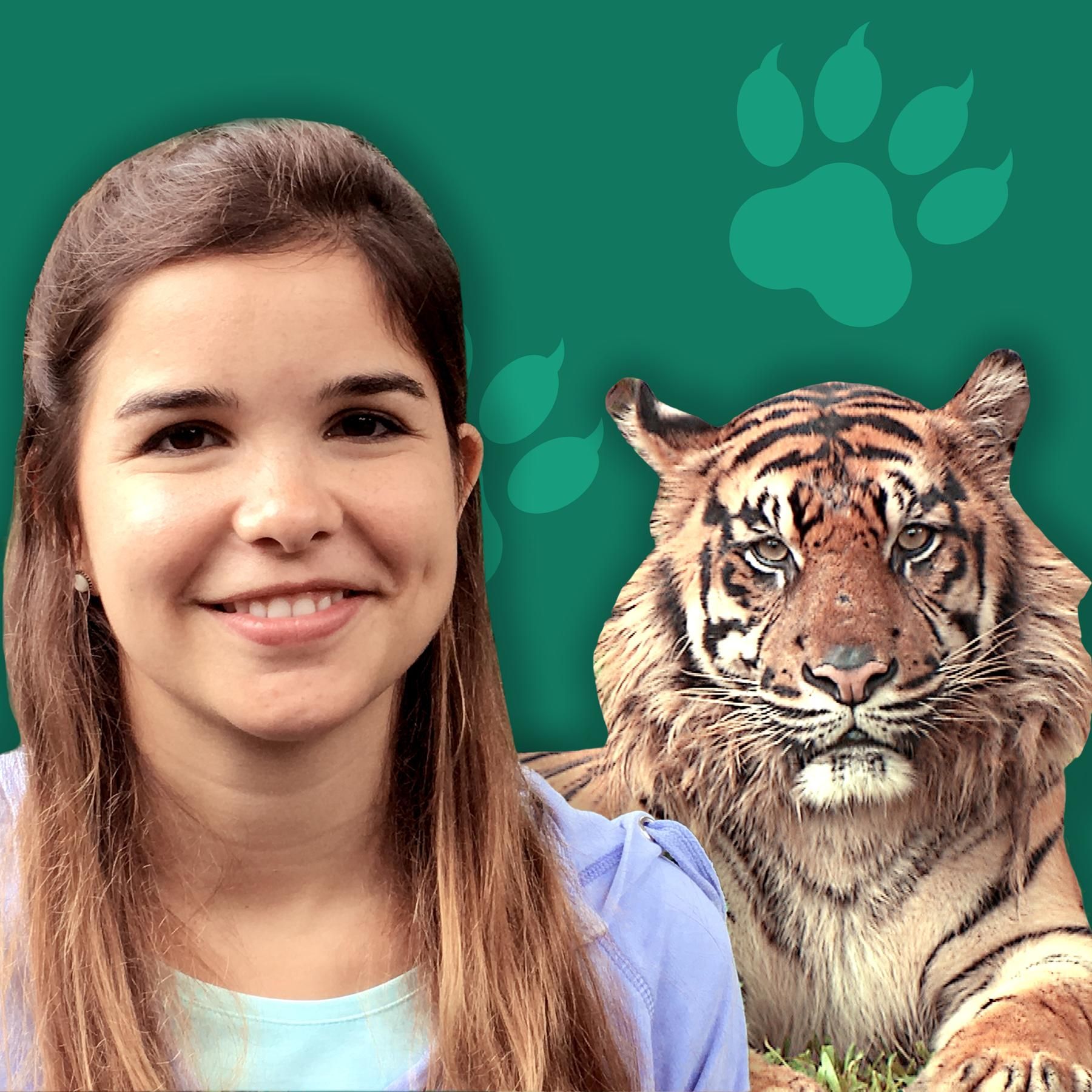 Tiger – Die größten Raubkatzen der Welt