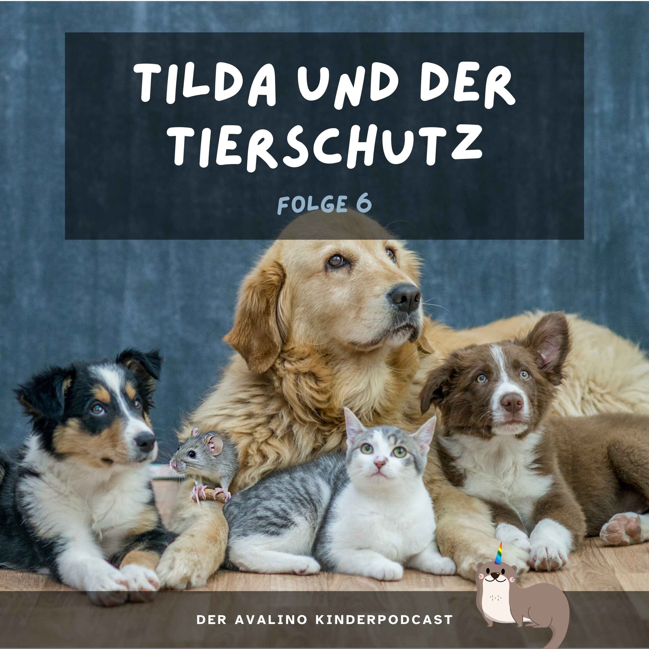 Tilda und der Tierschutz
