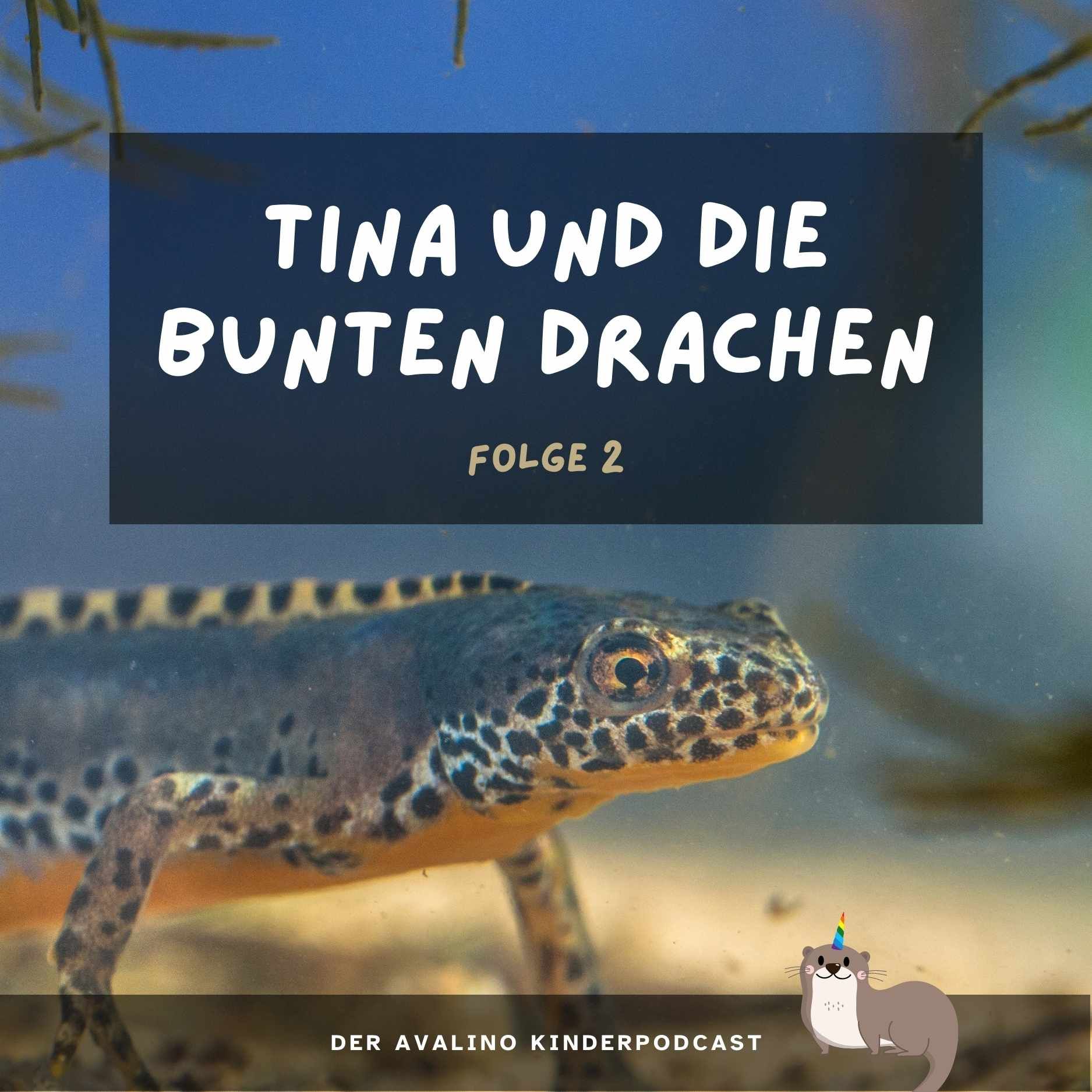 Tina und die bunten Drachen