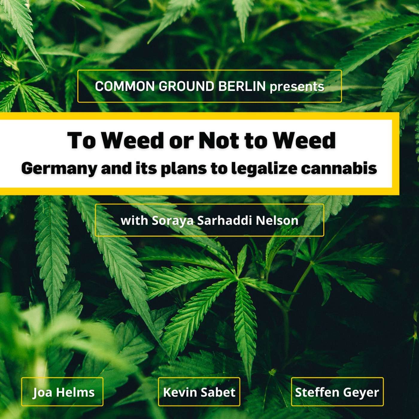 To Weed or not to Weed – Germany’s plan to legalize cannabis