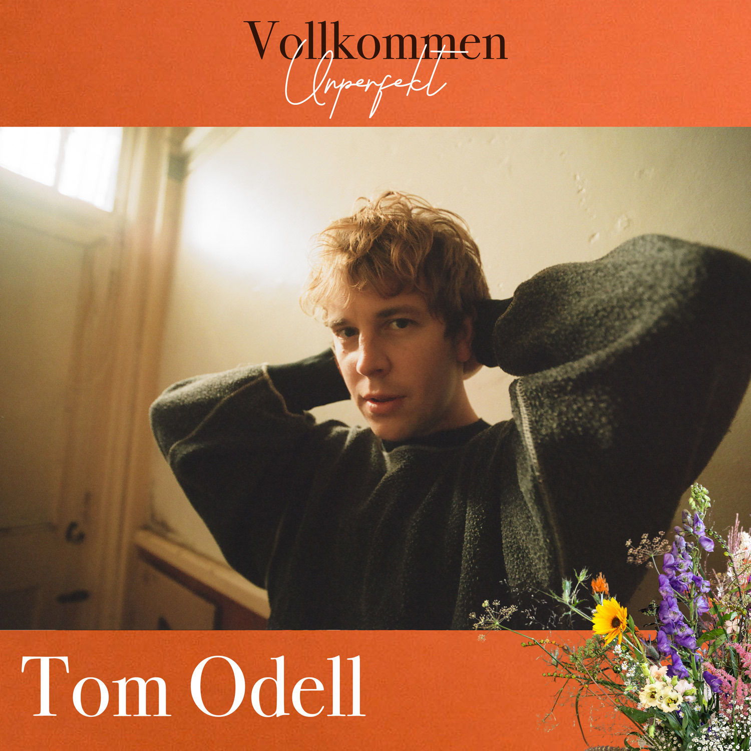 Tom Odell, wie haben Panikattacken dich verändert?