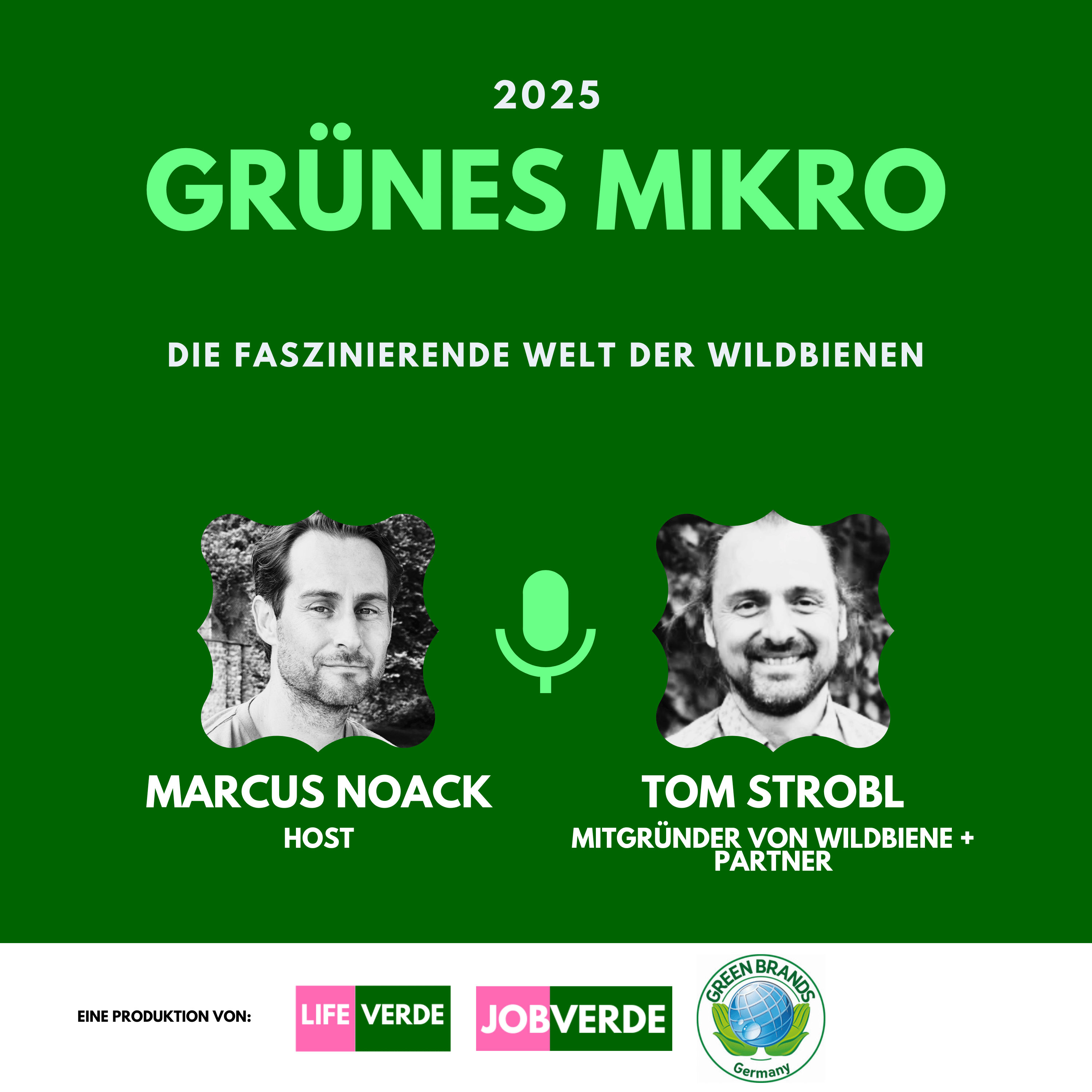 Tom Strobl, Mitgründer von Wildbiene + Partner