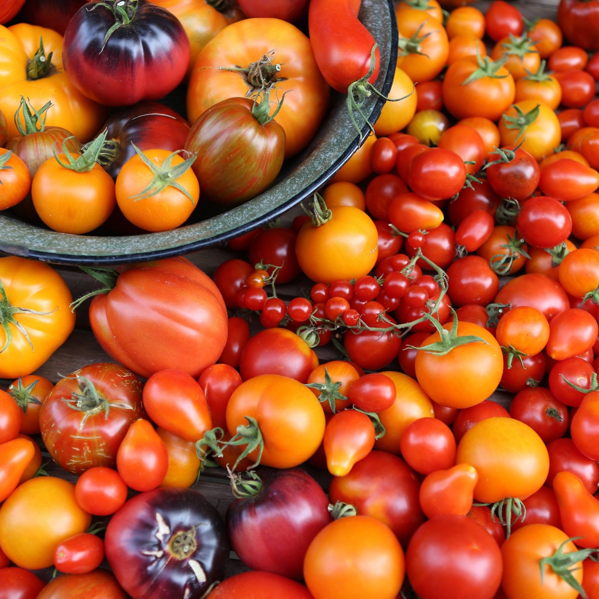 Tomaten mit Popcorn-Aroma