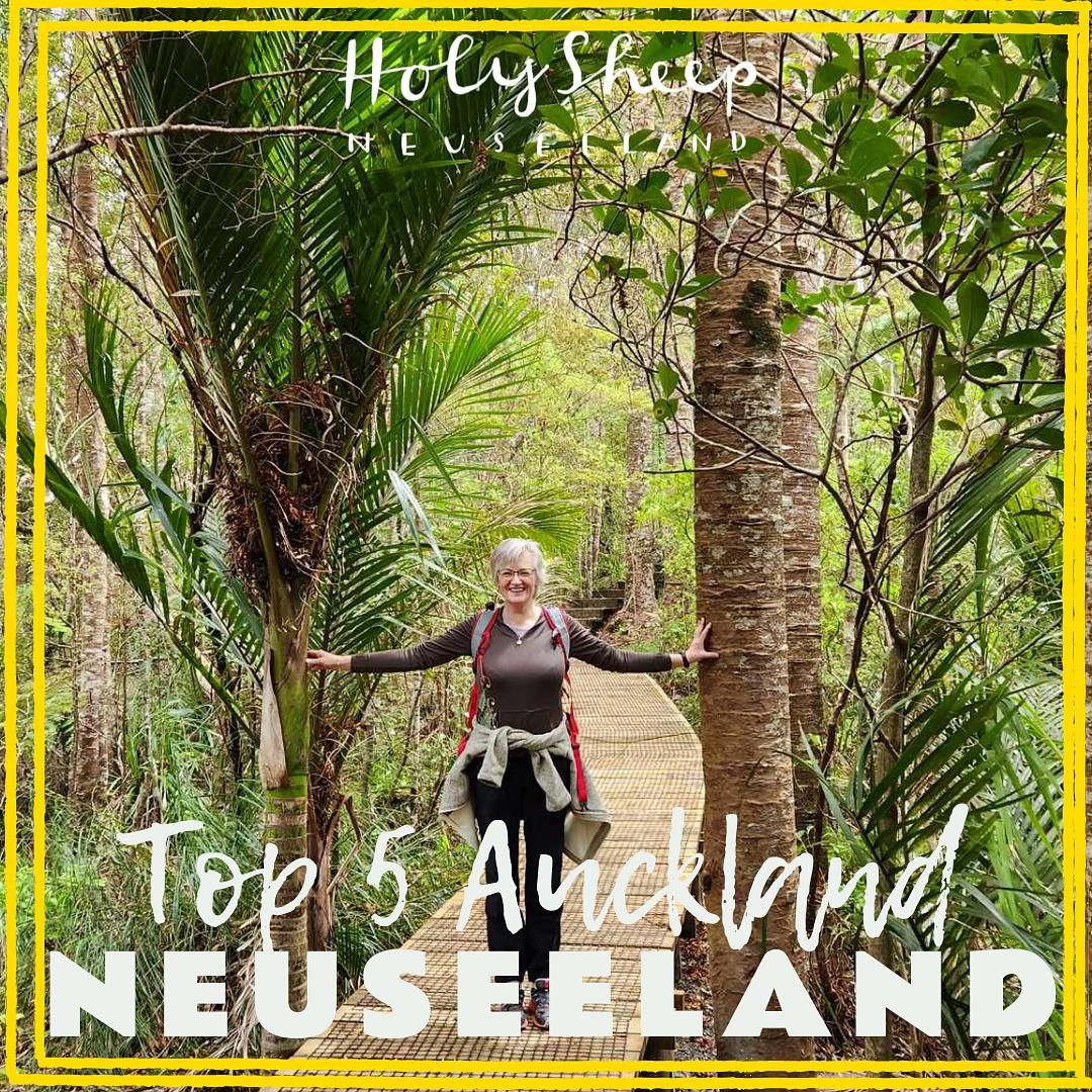 TOP 5 Auckland mit Andrea.