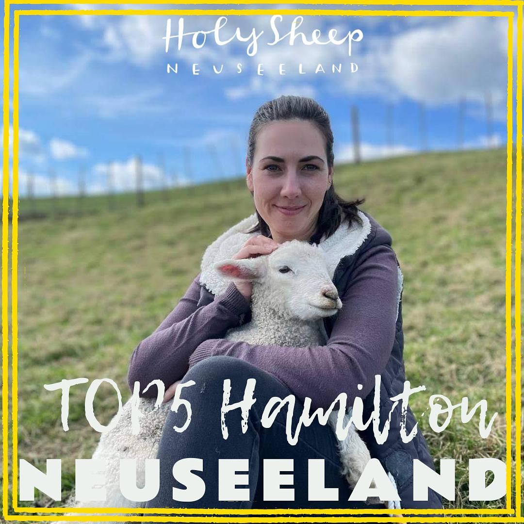 TOP 5 Hamilton mit Hanna