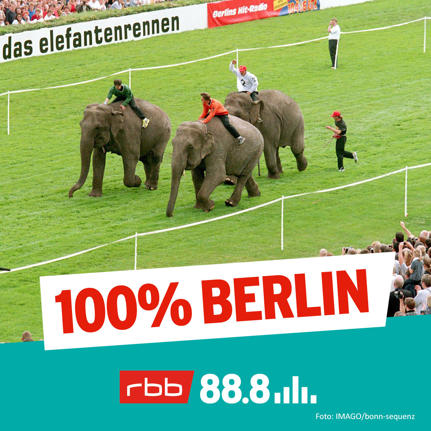 Toröö! Die verrücktesten Rennen in Hoppegarten