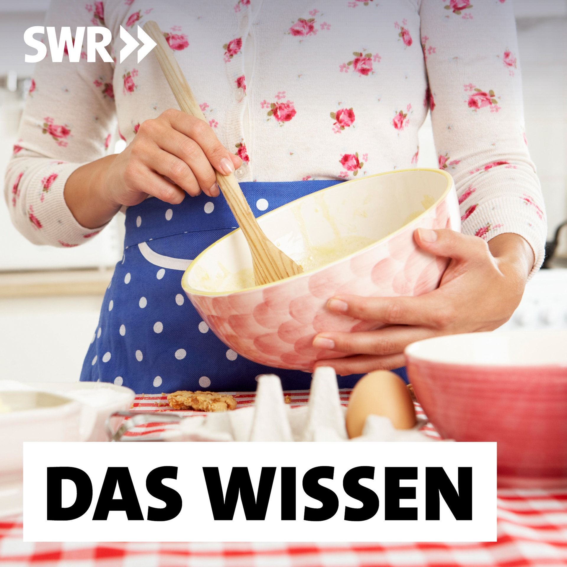 Traditionelles Frauenbild im Netz – Tradwife und Stayathomegirlfriend