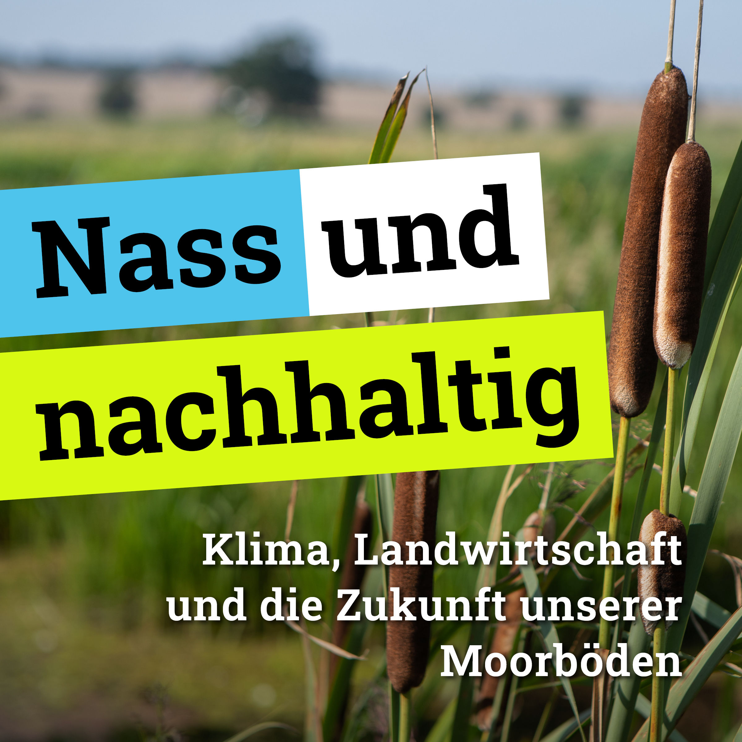 Trailer: Nass und nachhaltig – Klima, Landwirtschaft und die Zukunft unserer Moorböden