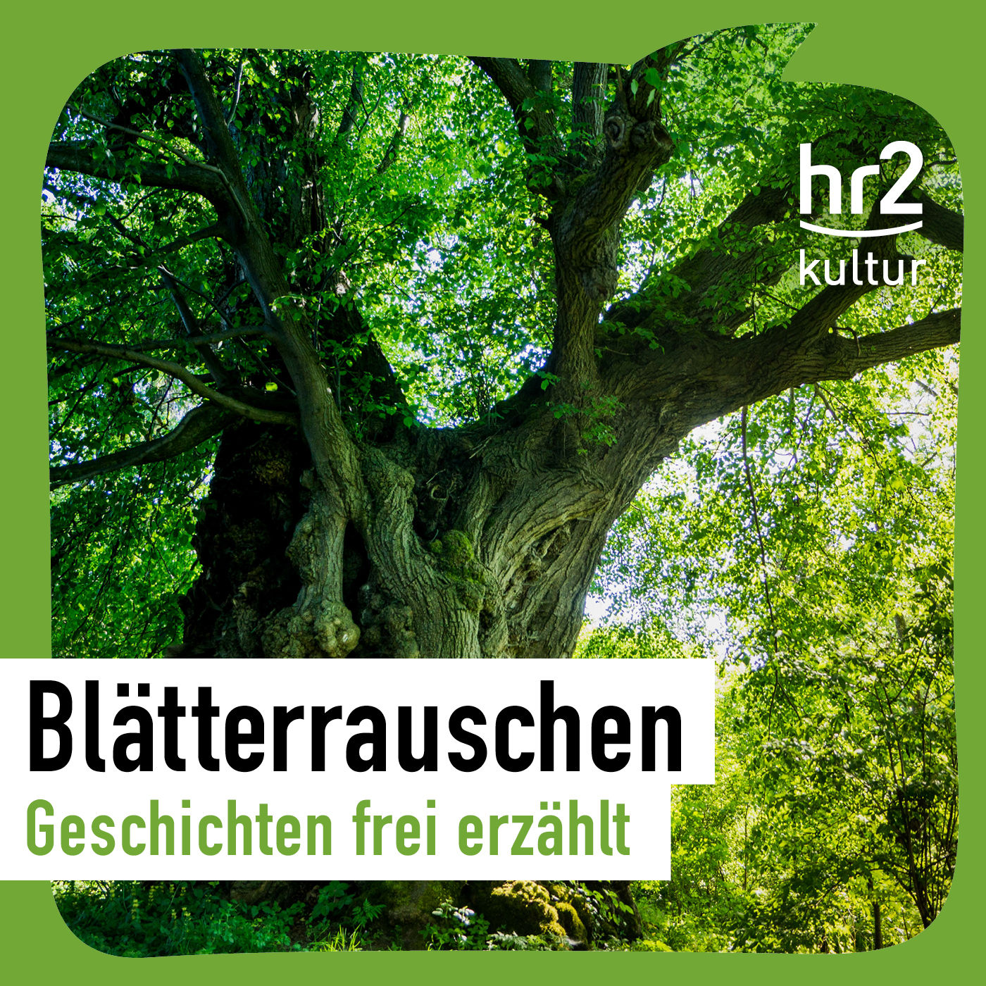 Trailer Sparda Erzählfestival 2023 im Podcast