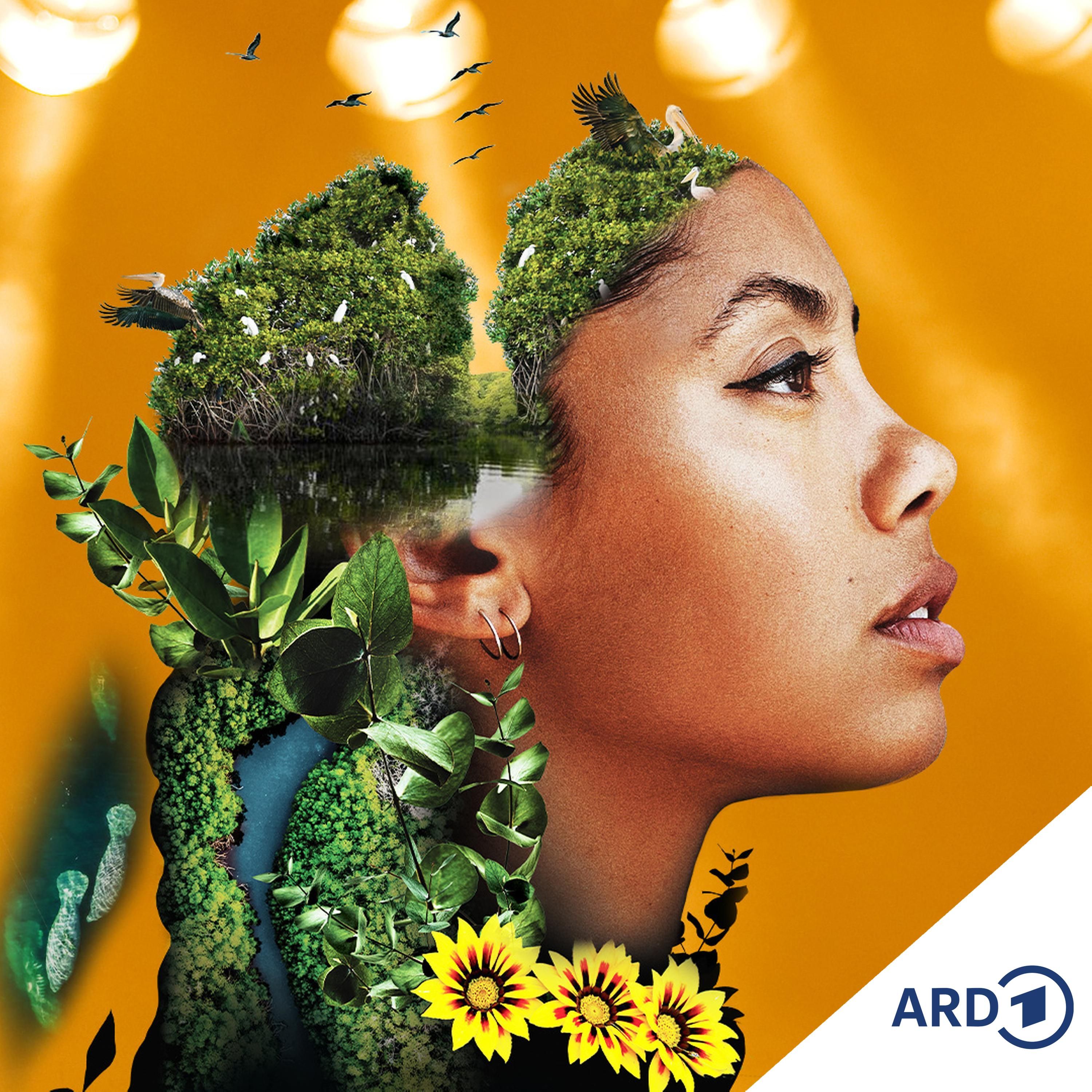 Trailer: This is Jayda - der Podcast zu „Blue Carbon”