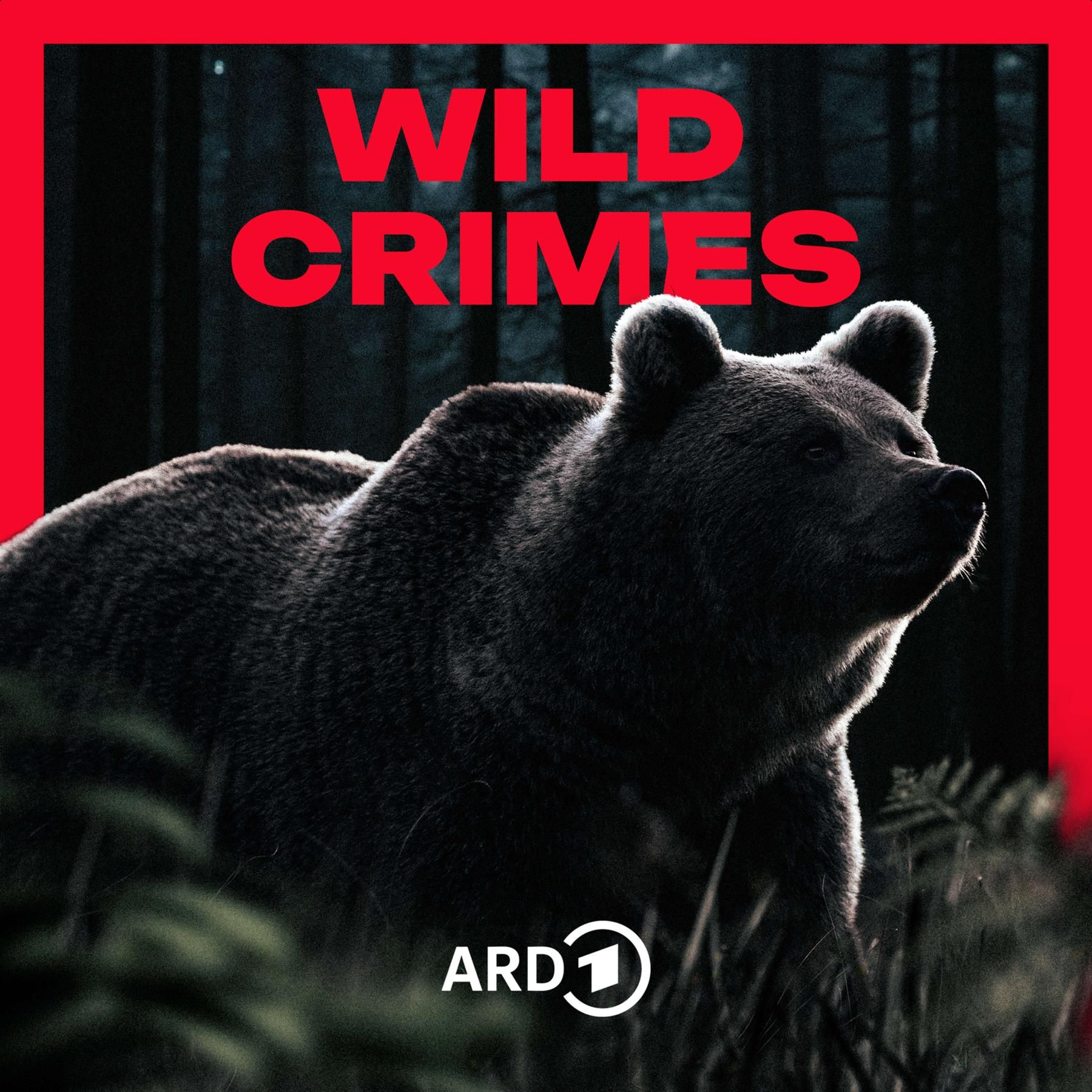 Trailer: Wild Crimes - Jagd auf Bruno