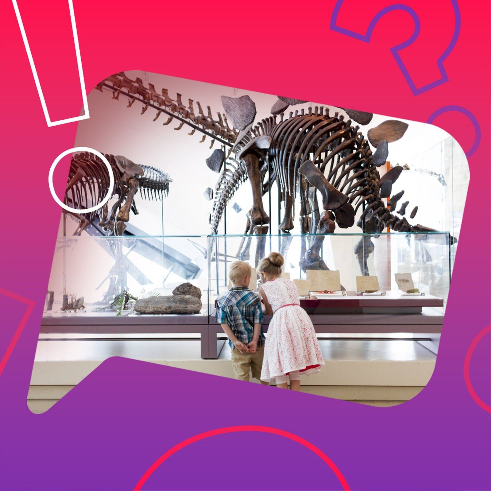 Trainieren Museumsbesuche das Gehirn?